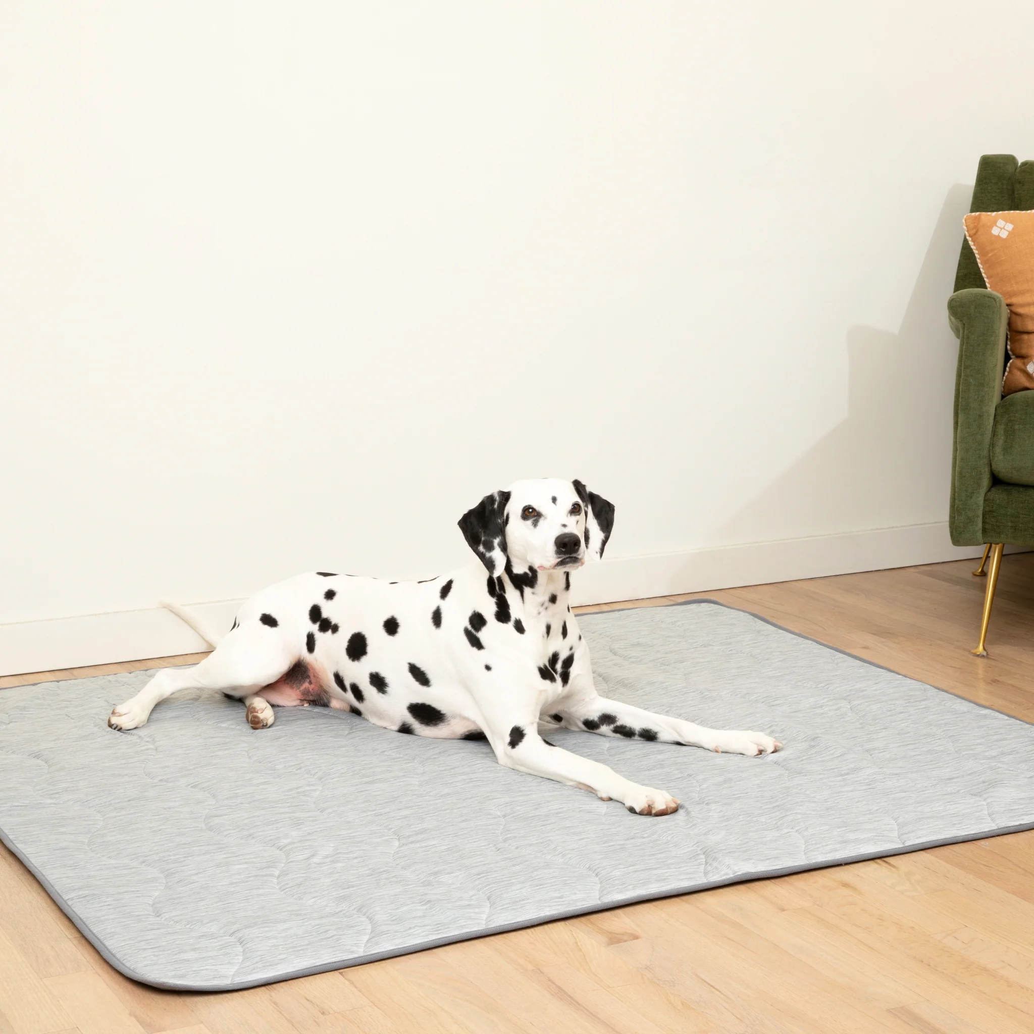 PupChill™ Cooling Waterproof Blanket - Arctic Grey - Image 13