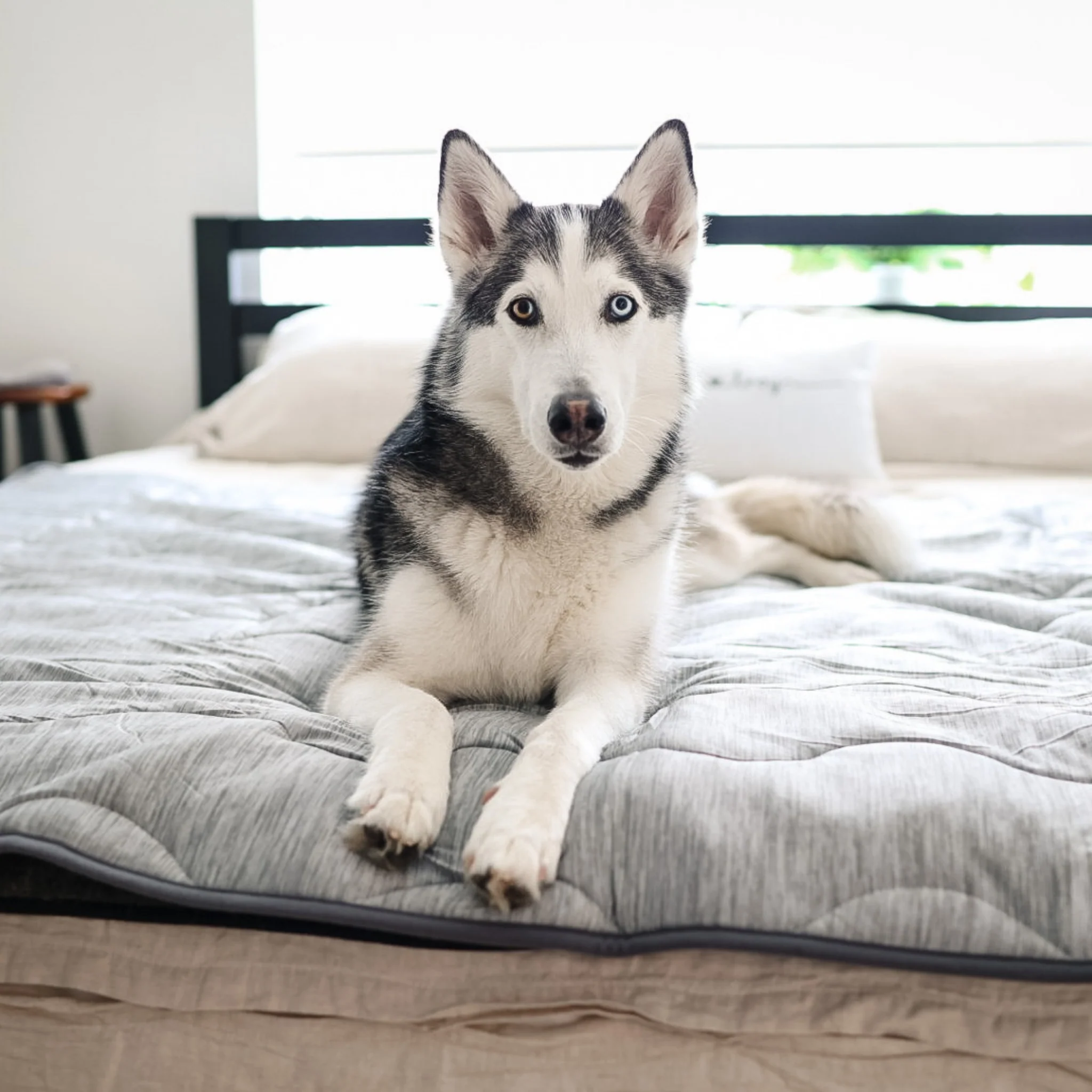 PupChill™ Cooling Waterproof Blanket - Arctic Grey - Image 9