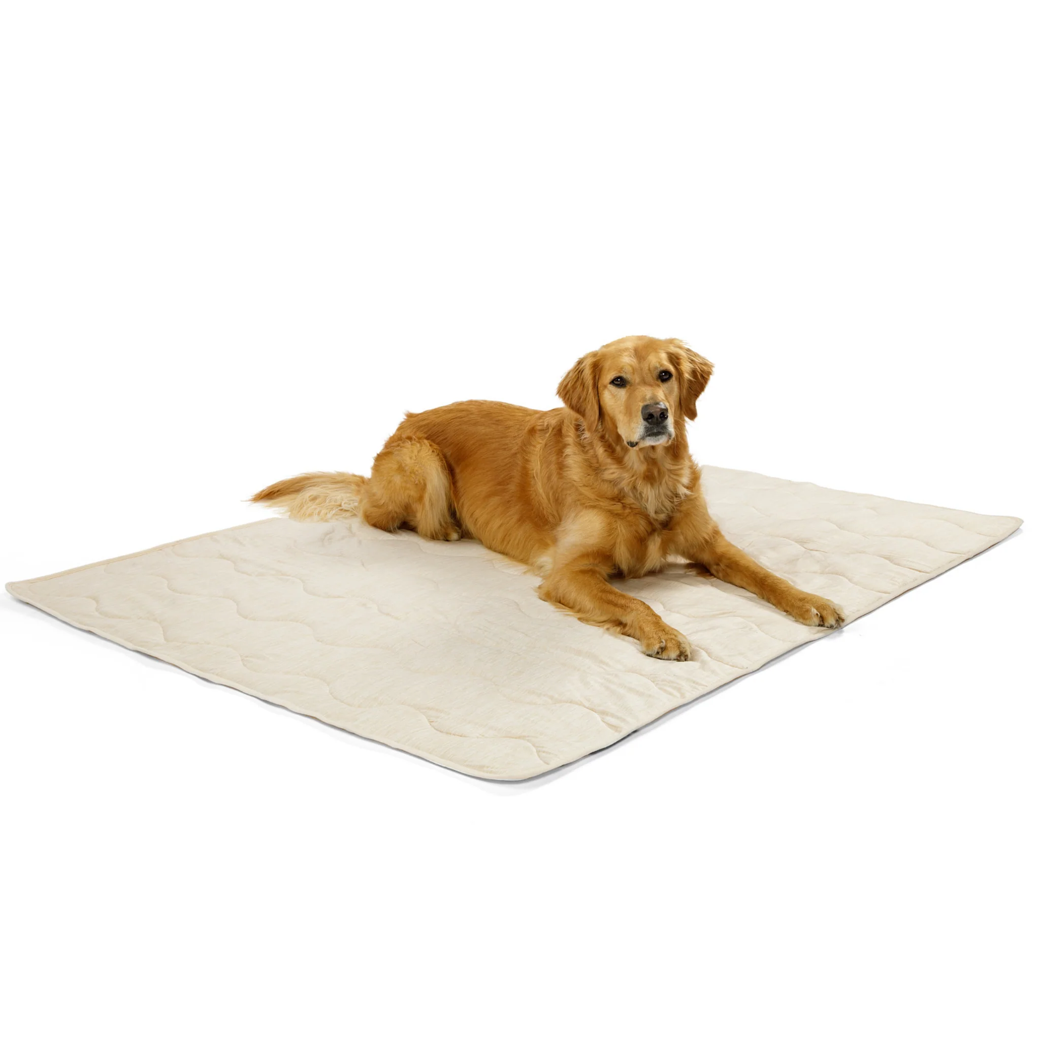 PupChill™ Cooling Waterproof Blanket - Arctic Sand - Image 10