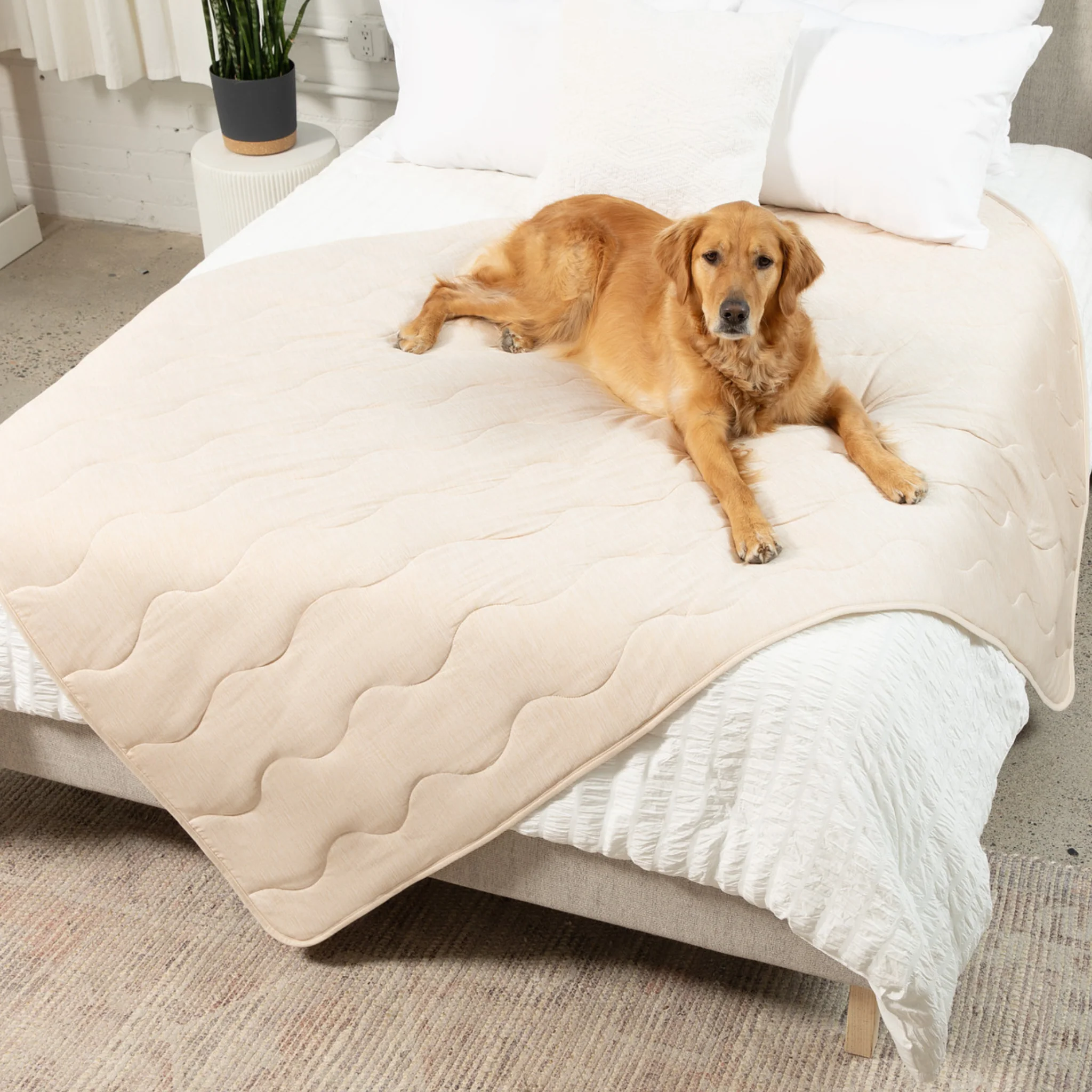 PupChill™ Cooling Waterproof Blanket - Arctic Sand - Image 3