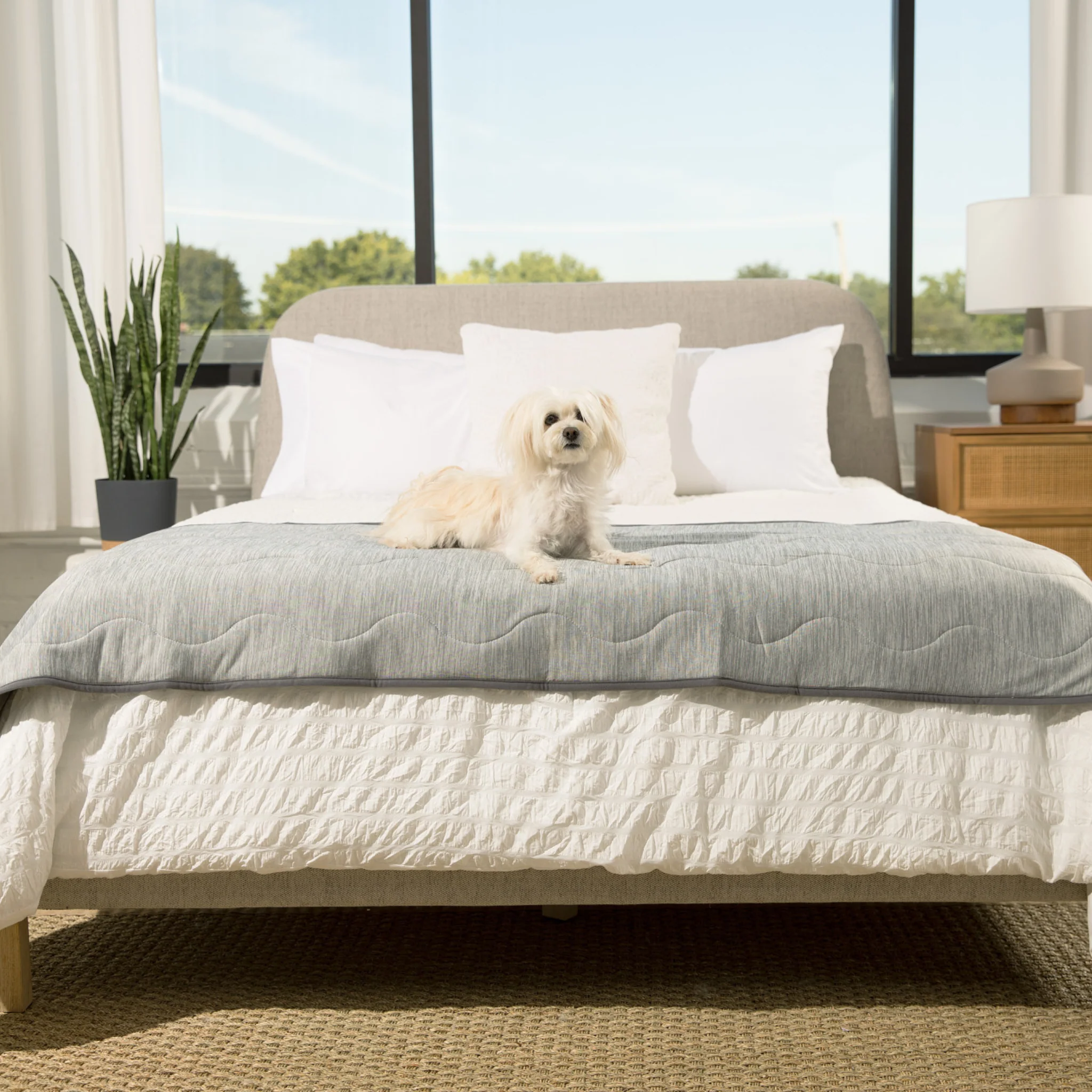 PupChill™ Cooling Waterproof Runner Blanket - Arctic Grey - Image 4