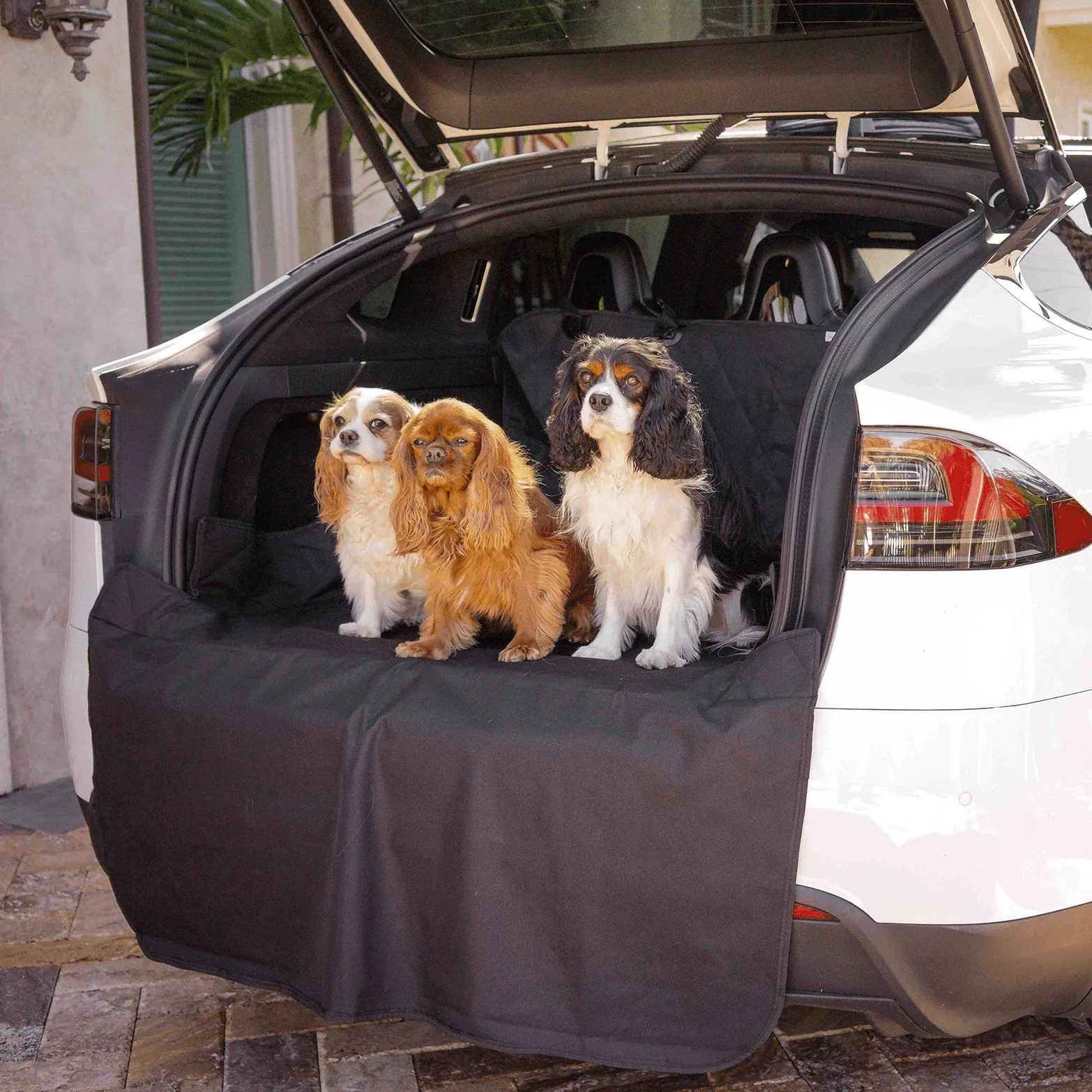 PupProtector™ Cargo Cover Liner for SUVs and Cars - Image 4