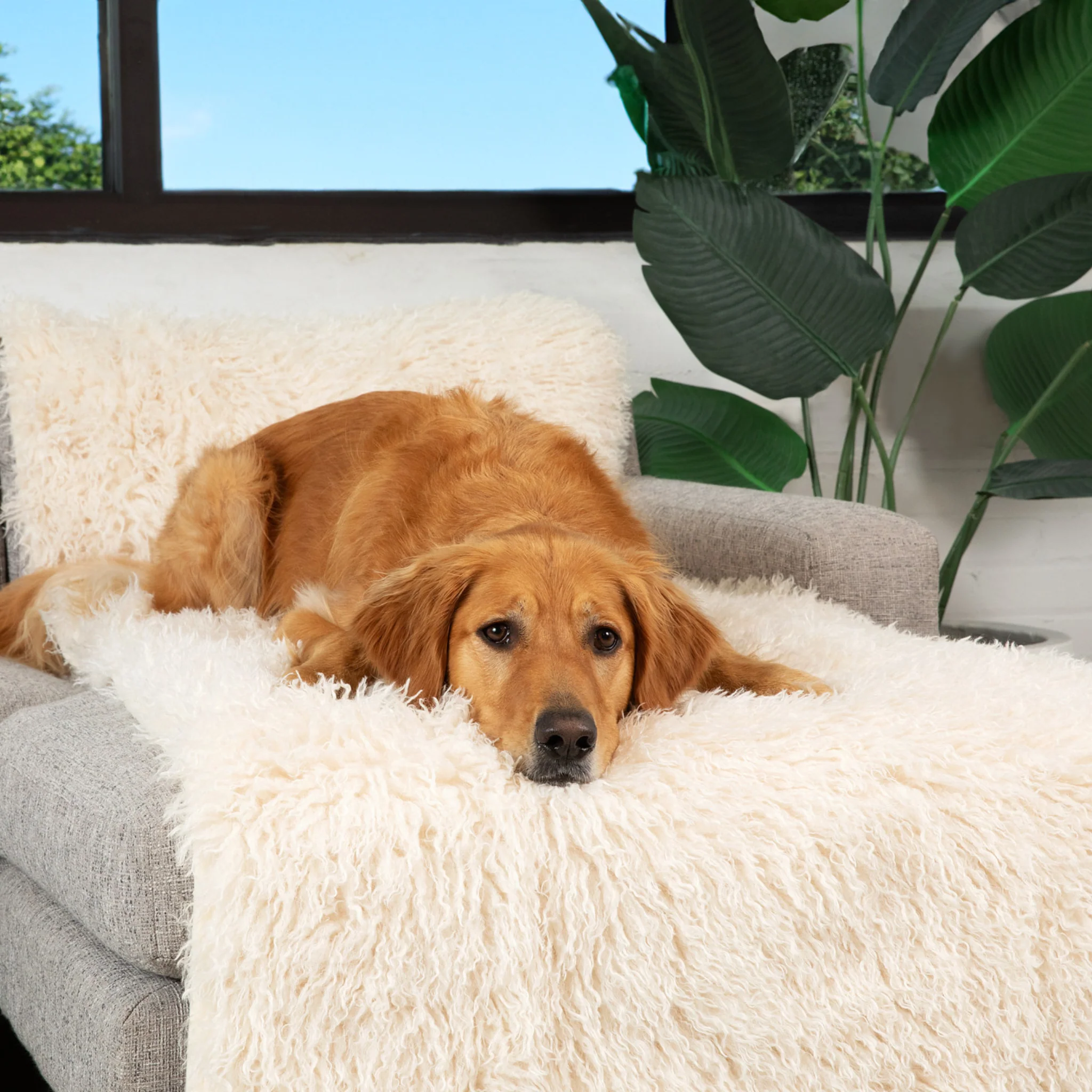 PupProtector™ Luxe Waterproof Bed Runner - Plush Sheep Ivory - Image 2