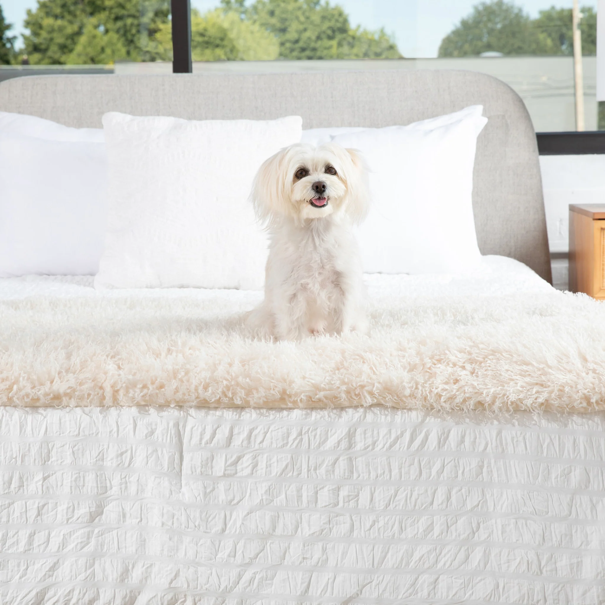 PupProtector™ Luxe Waterproof Bed Runner - Plush Sheep Ivory - Image 4