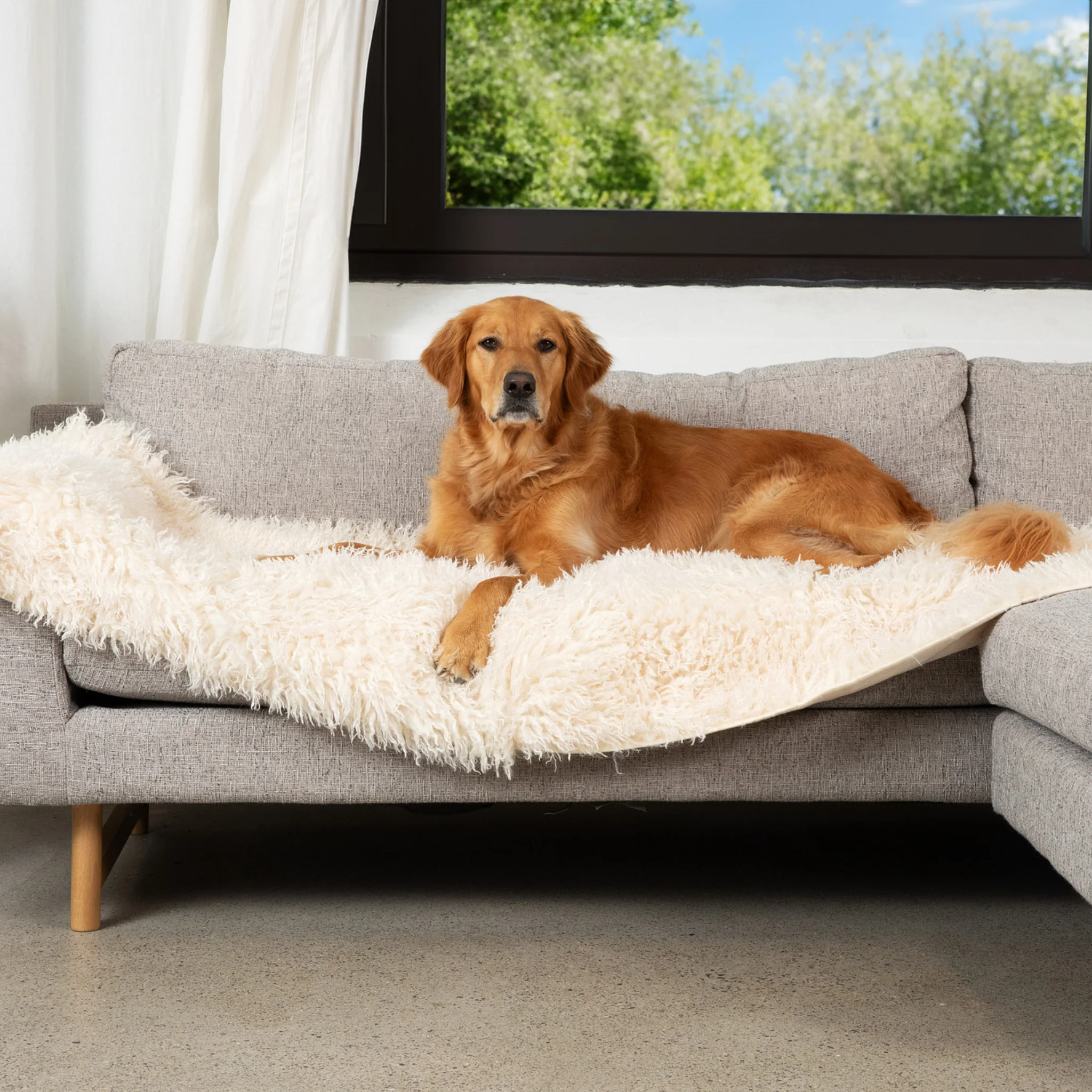PupProtector™ Luxe Waterproof Bed Runner - Plush Sheep Ivory - Image 7