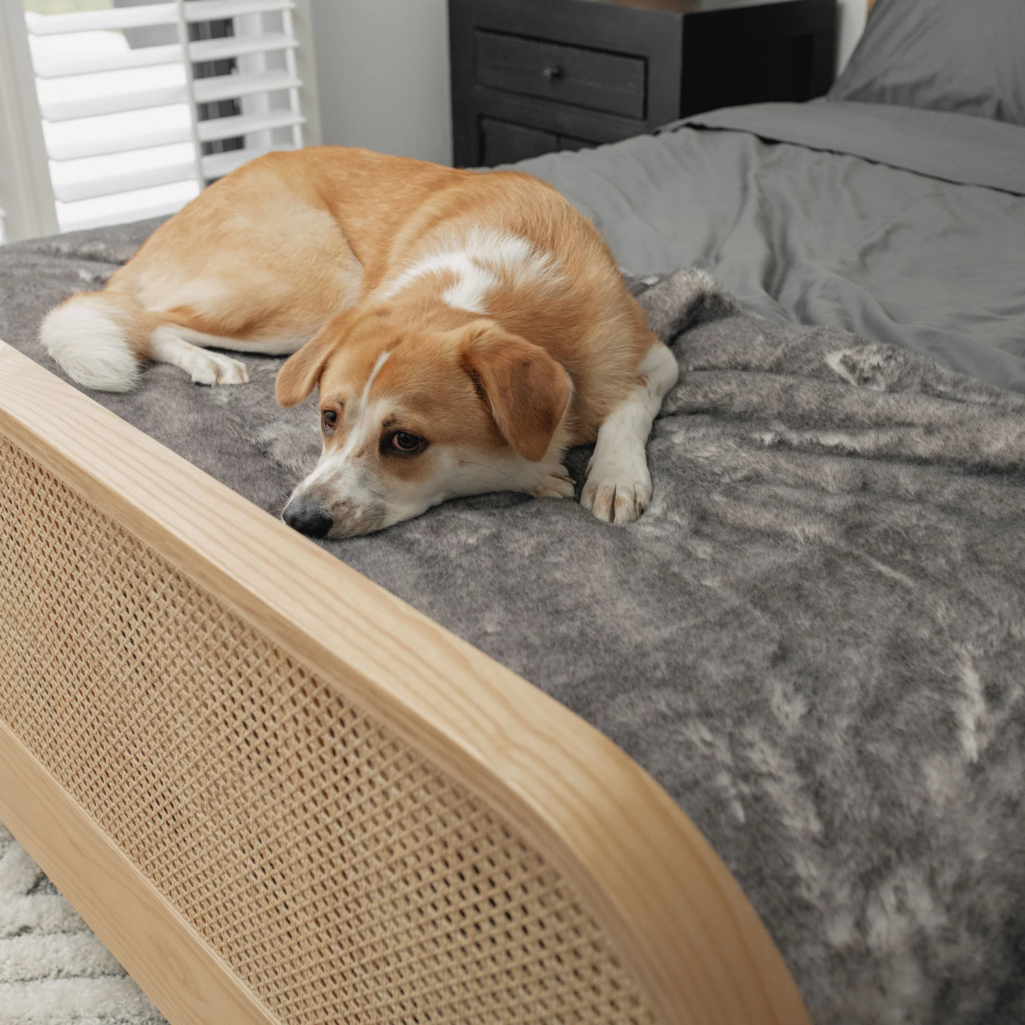 PupProtector™ Luxe Waterproof Bed Runner - Ultra Soft Chinchilla - Image 10