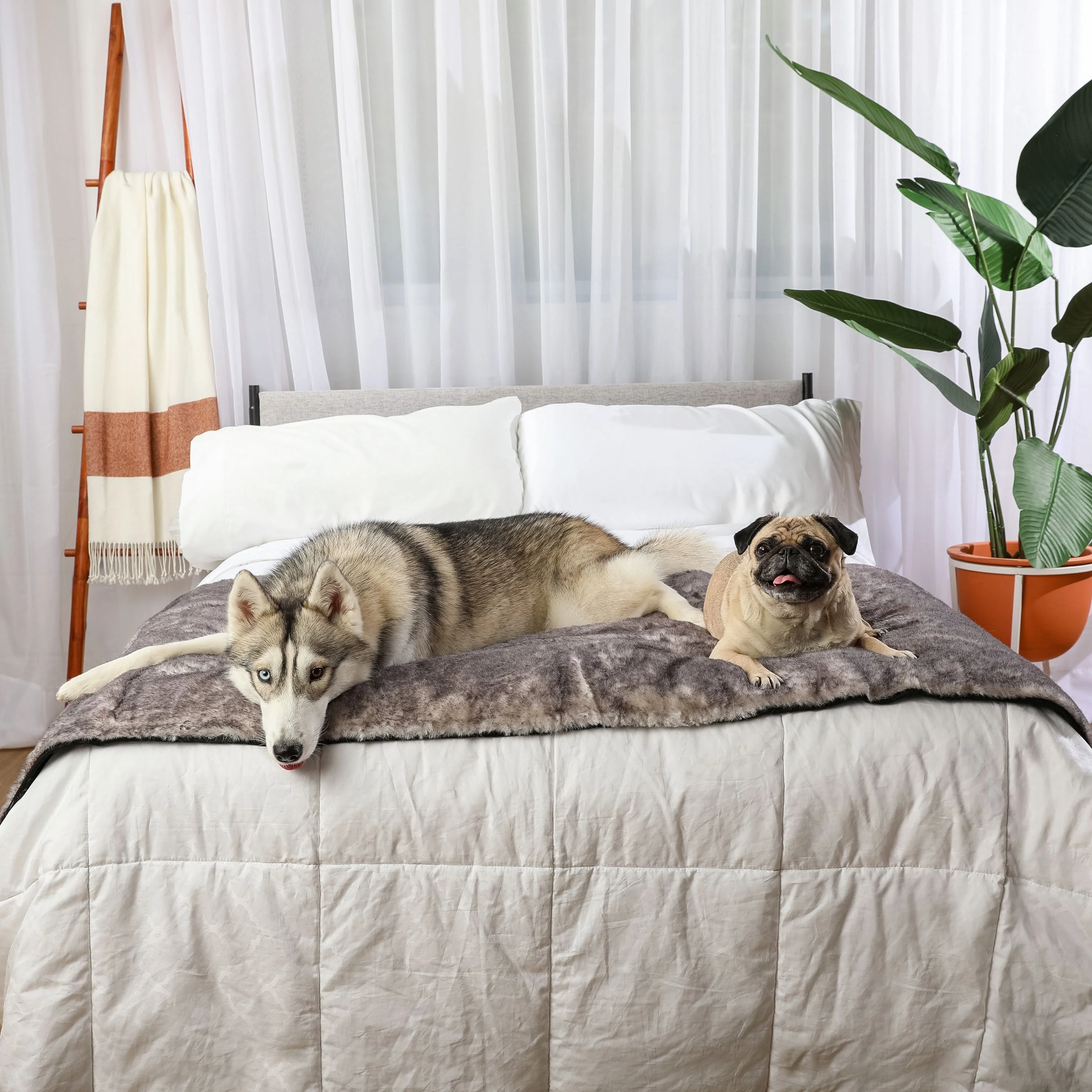 PupProtector™ Luxe Waterproof Bed Runner - Ultra Soft Chinchilla - Image 12
