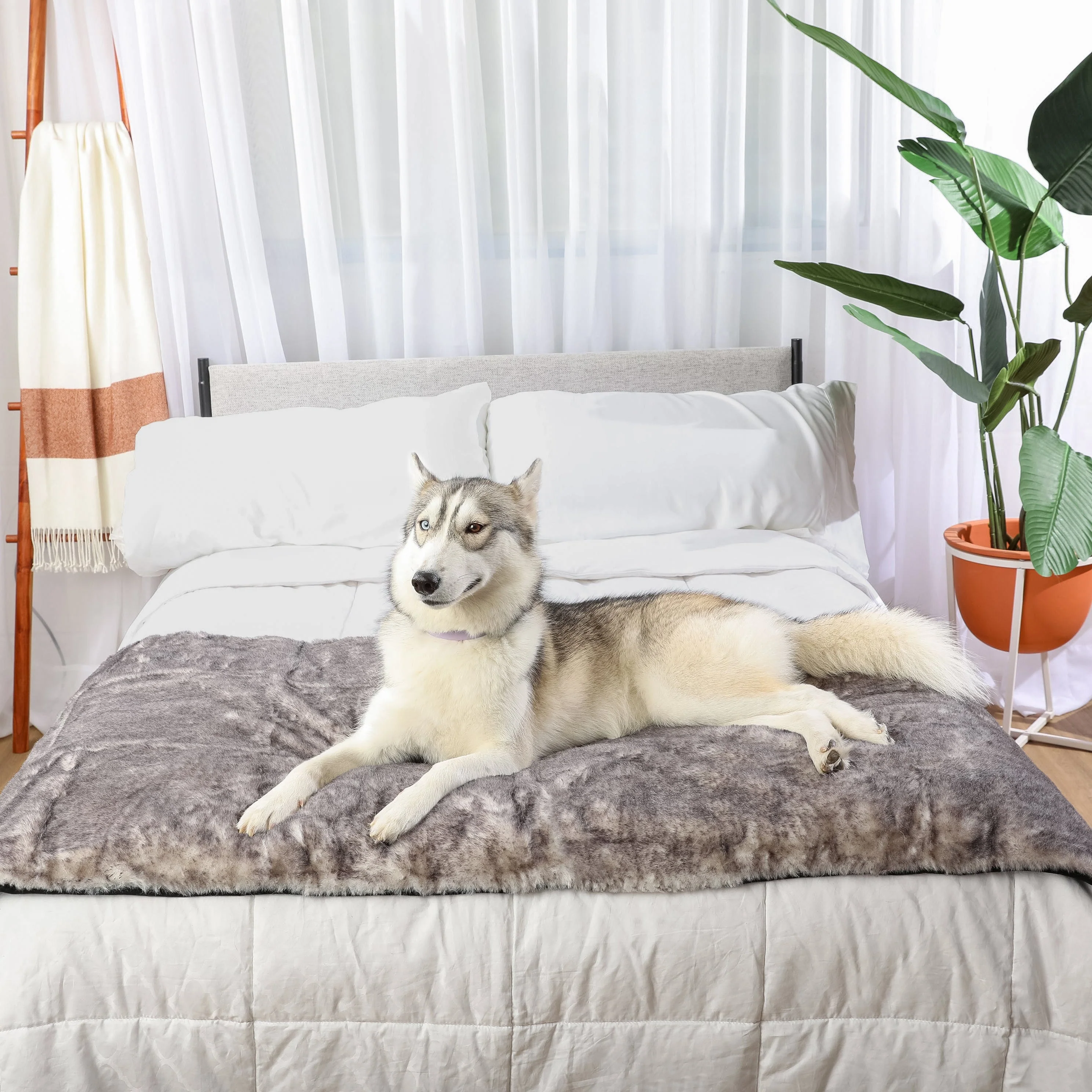 PupProtector™ Luxe Waterproof Bed Runner - Ultra Soft Chinchilla - Image 15