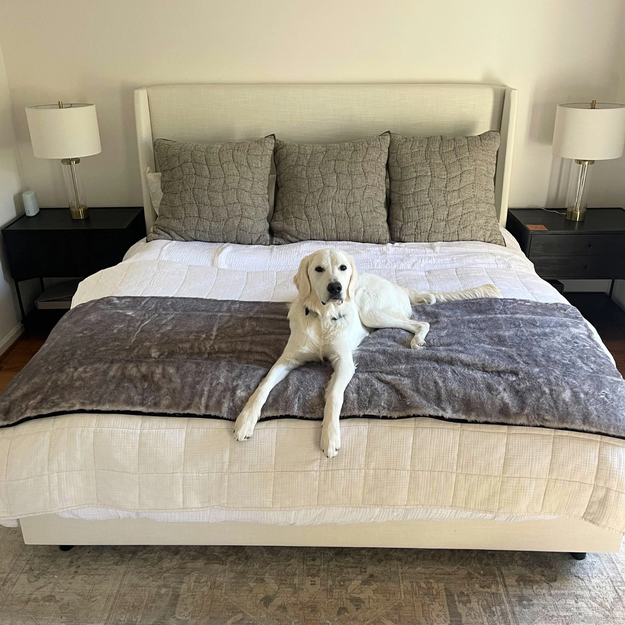 PupProtector™ Luxe Waterproof Bed Runner - Ultra Soft Chinchilla - Image 3