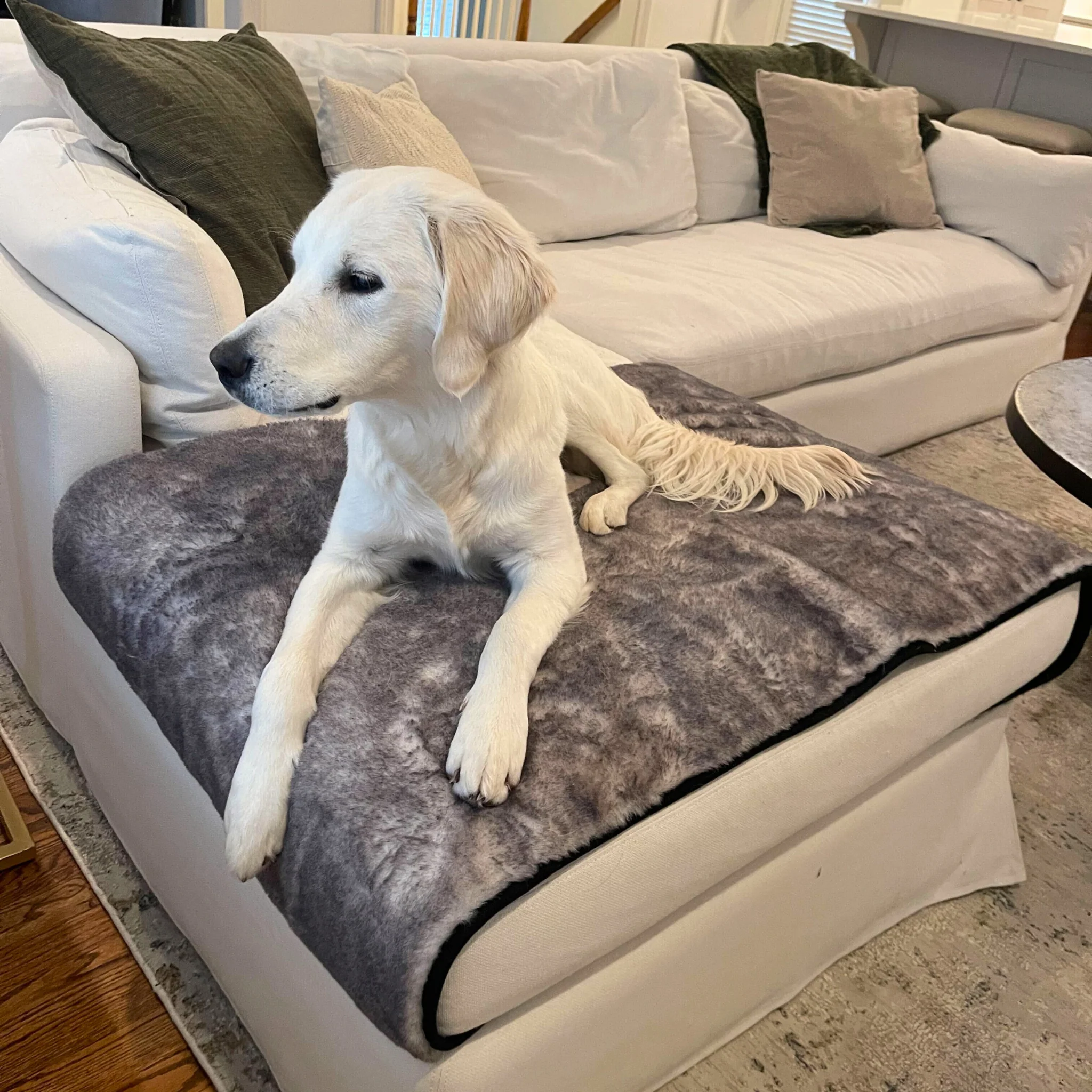 PupProtector™ Luxe Waterproof Bed Runner - Ultra Soft Chinchilla - Image 6