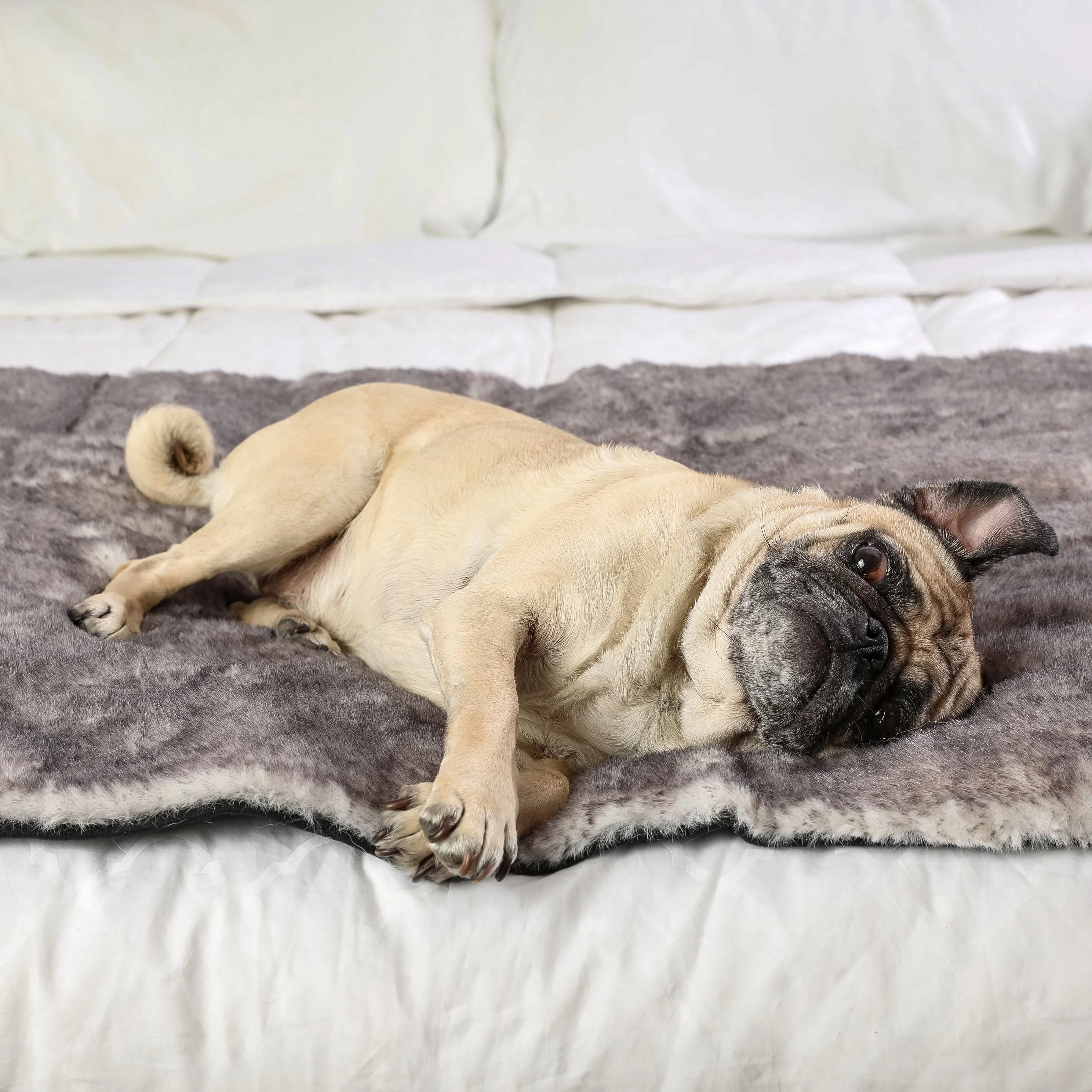 PupProtector™ Luxe Waterproof Bed Runner - Ultra Soft Chinchilla - Image 9