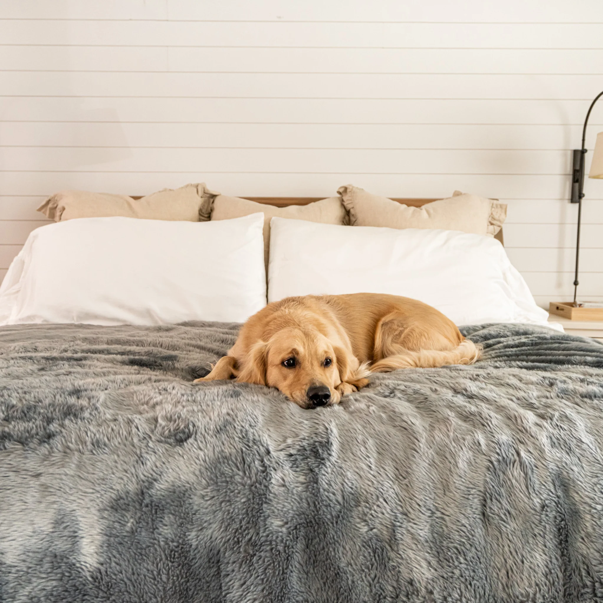 PupProtector™ Short Fur Waterproof Throw Blanket - Charcoal Grey - Image 12