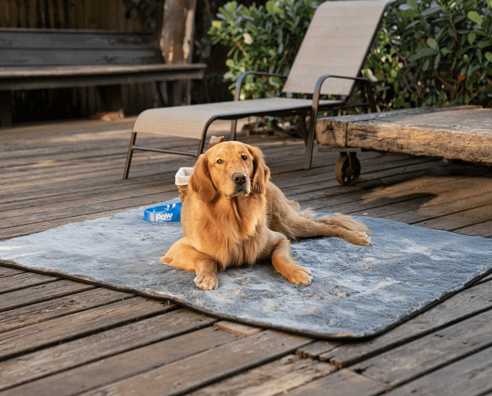 PupProtector™ Short Fur Waterproof Throw Blanket - Charcoal Grey - Image 8