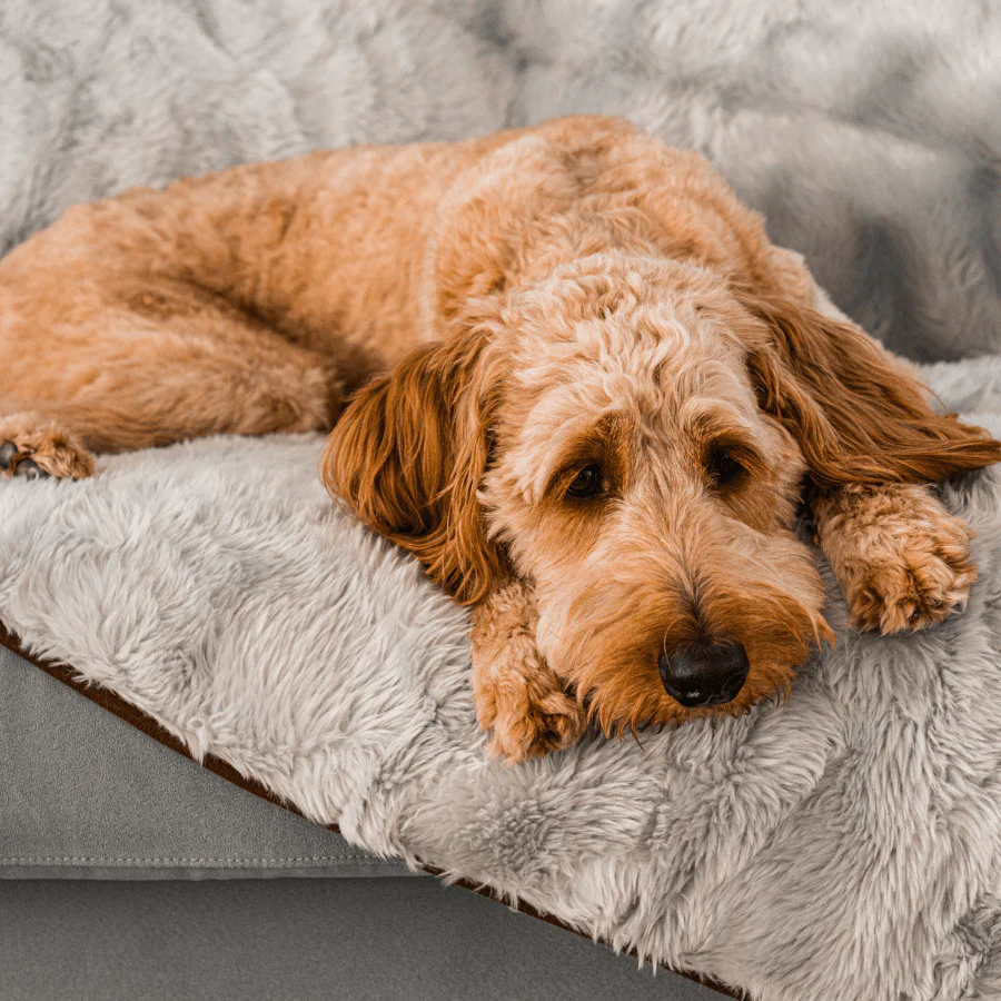PupProtector™ Short Fur Waterproof Throw Blanket - Grey - Image 10