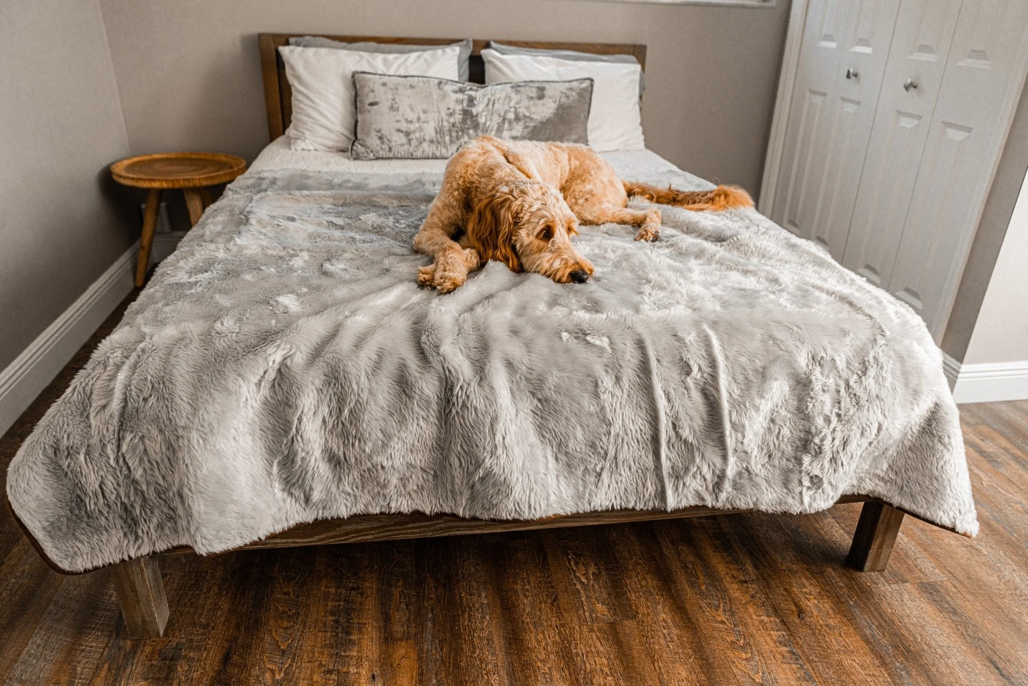 PupProtector™ Short Fur Waterproof Throw Blanket - Grey - Image 11