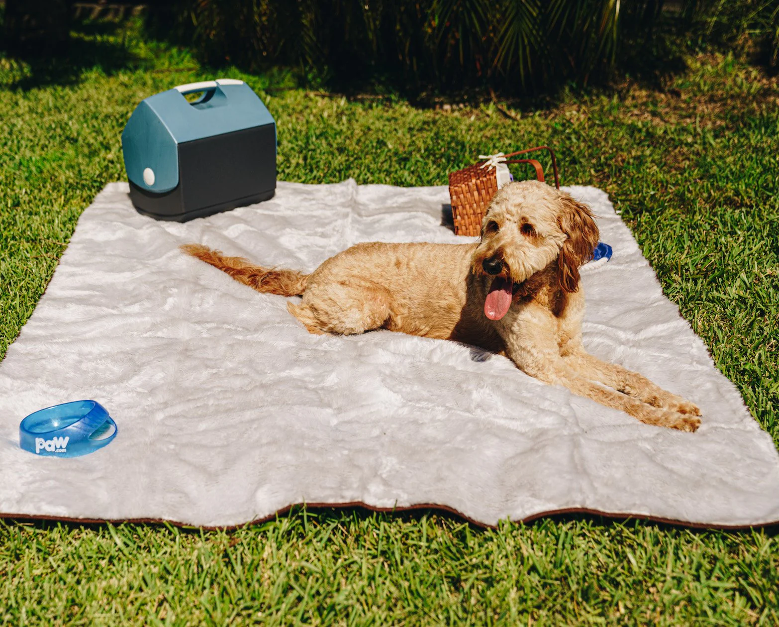 PupProtector™ Short Fur Waterproof Throw Blanket - Grey - Image 4