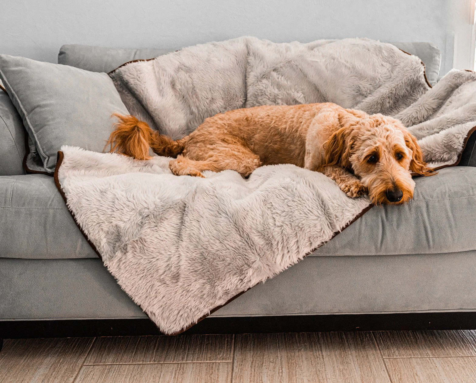 PupProtector™ Short Fur Waterproof Throw Blanket - Grey - Image 6