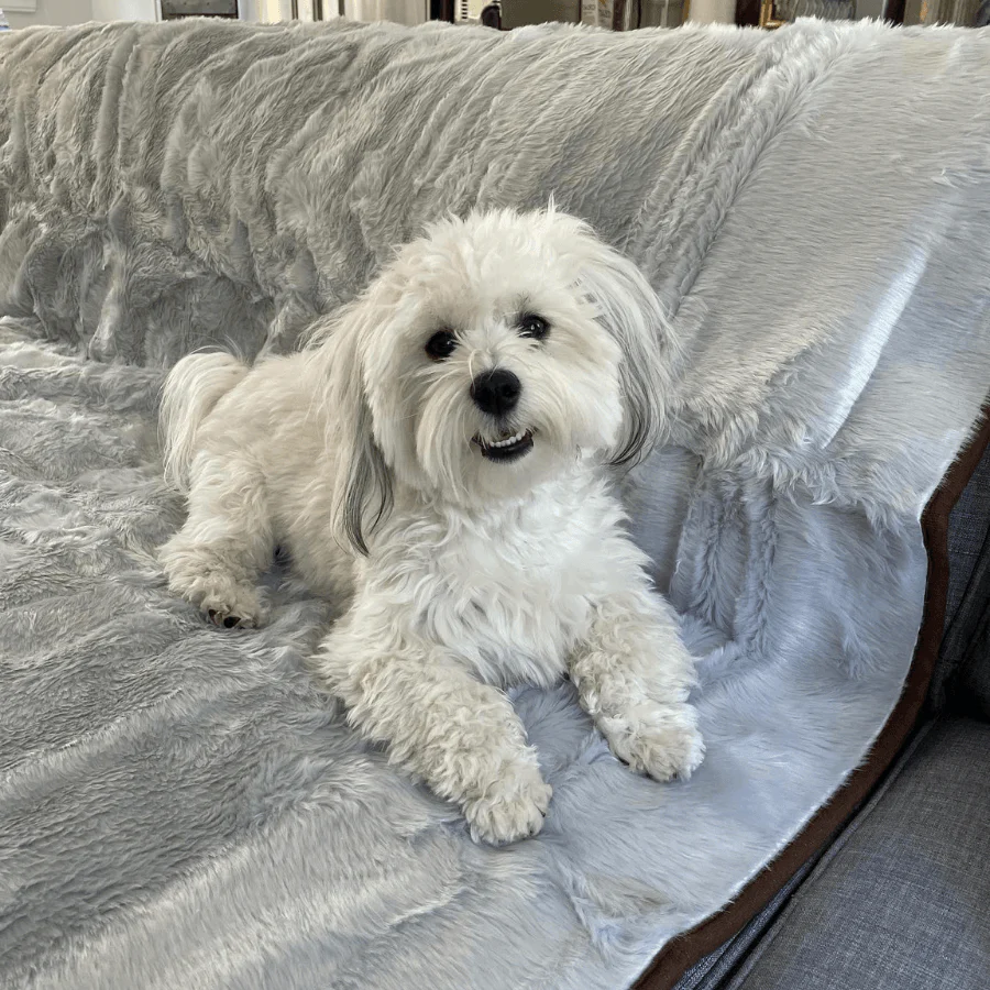 PupProtector™ Short Fur Waterproof Throw Blanket - Grey - Image 7