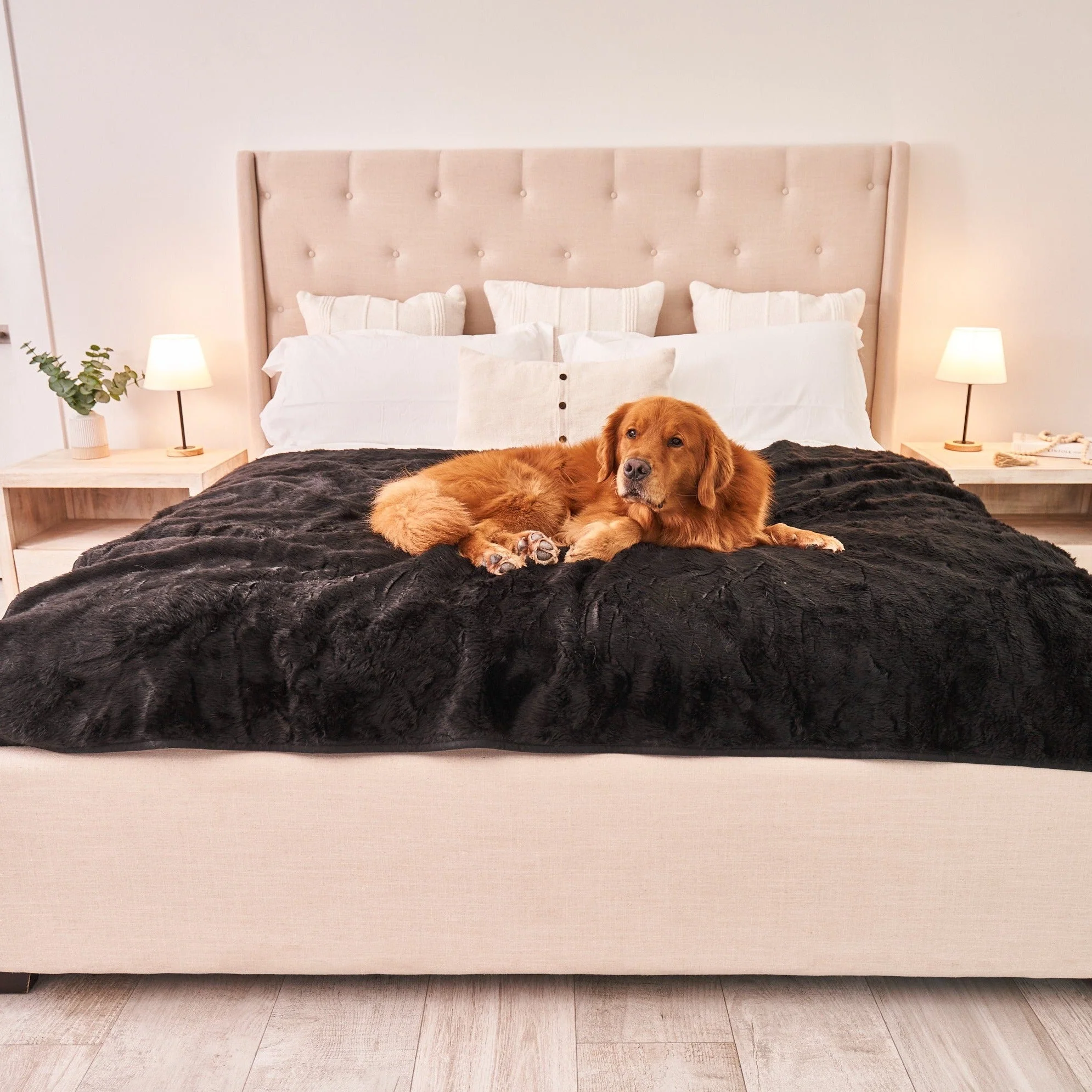 PupProtector™ Short Fur Waterproof Throw Blanket - Midnight Black - Image 10