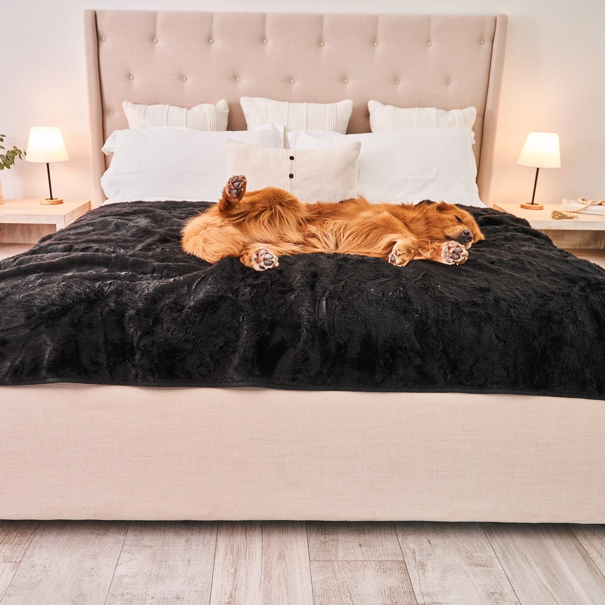PupProtector™ Short Fur Waterproof Throw Blanket - Midnight Black - Image 11
