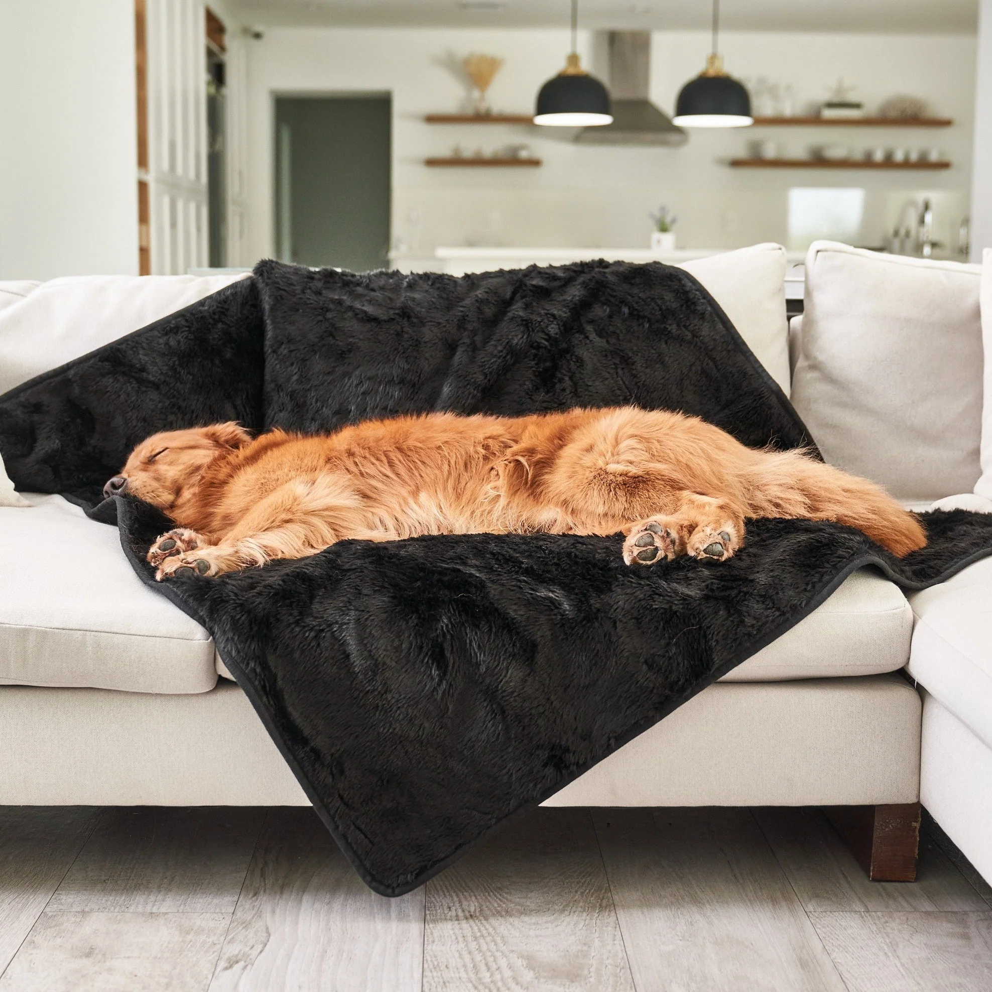 PupProtector™ Short Fur Waterproof Throw Blanket - Midnight Black - Image 3