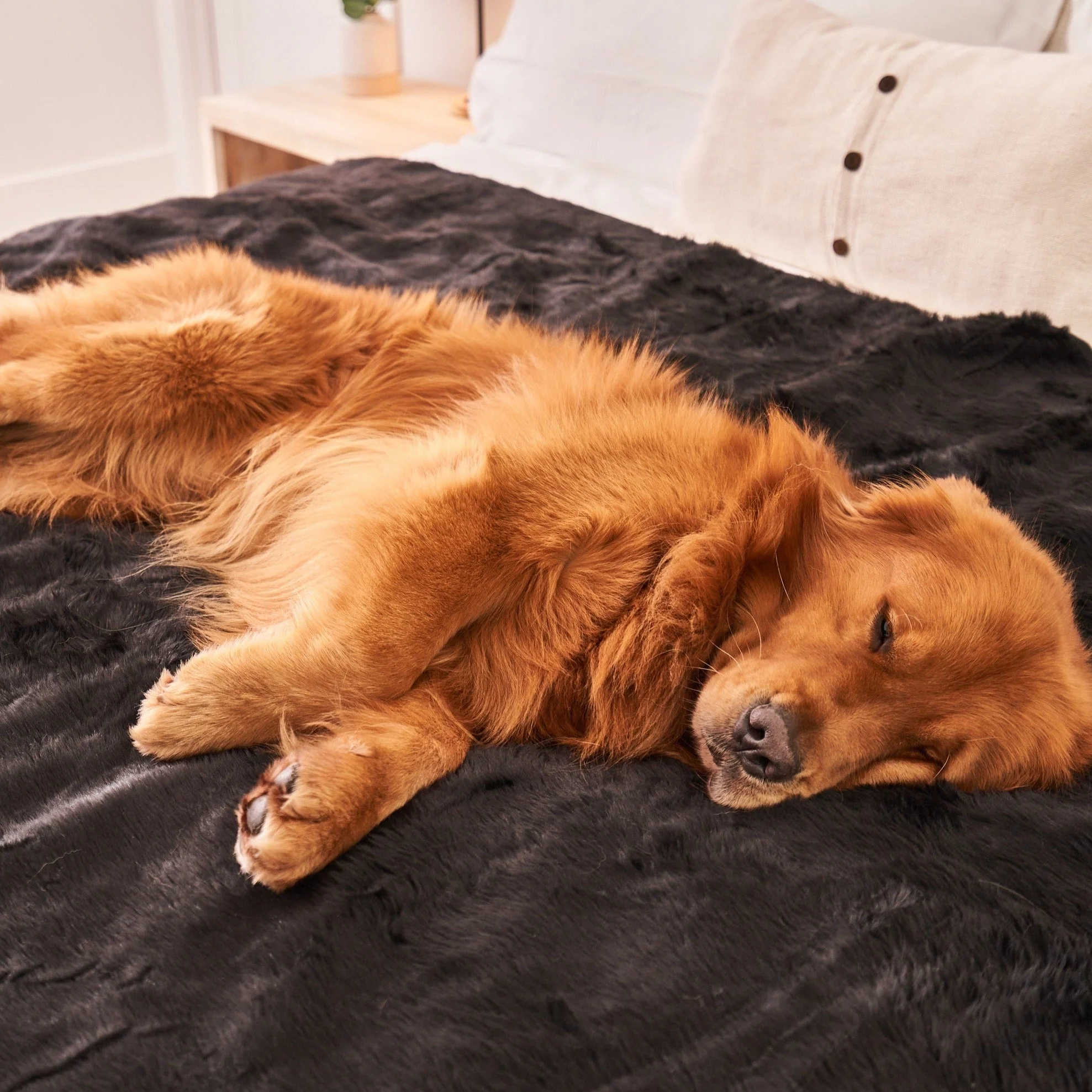 PupProtector™ Short Fur Waterproof Throw Blanket - Midnight Black - Image 7