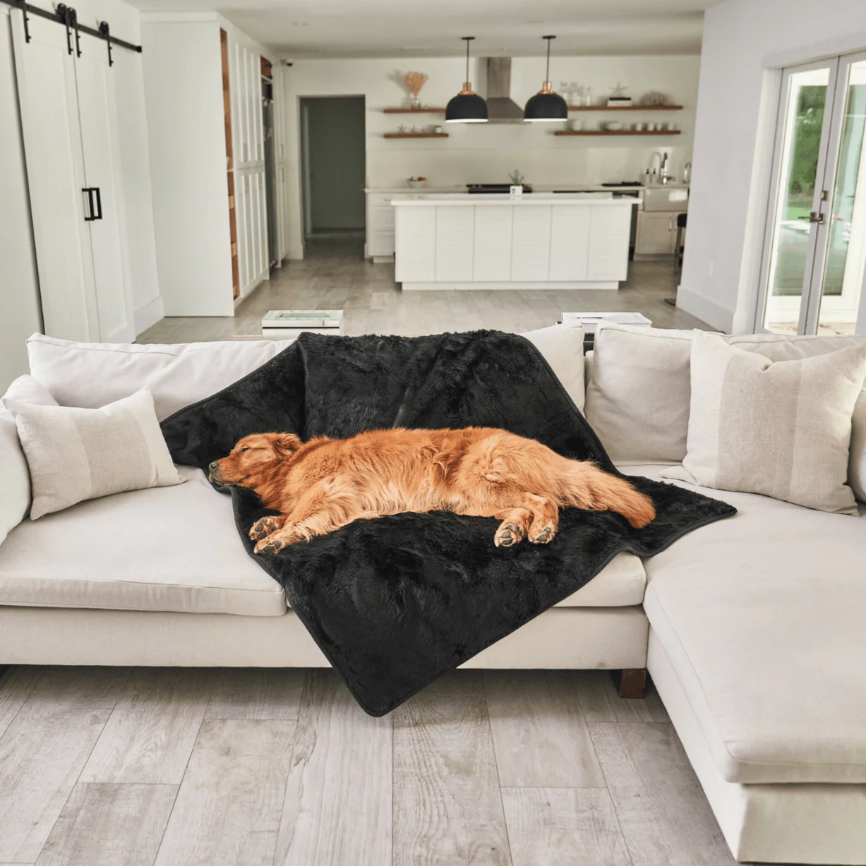 PupProtector™ Short Fur Waterproof Throw Blanket - Midnight Black - Image 9