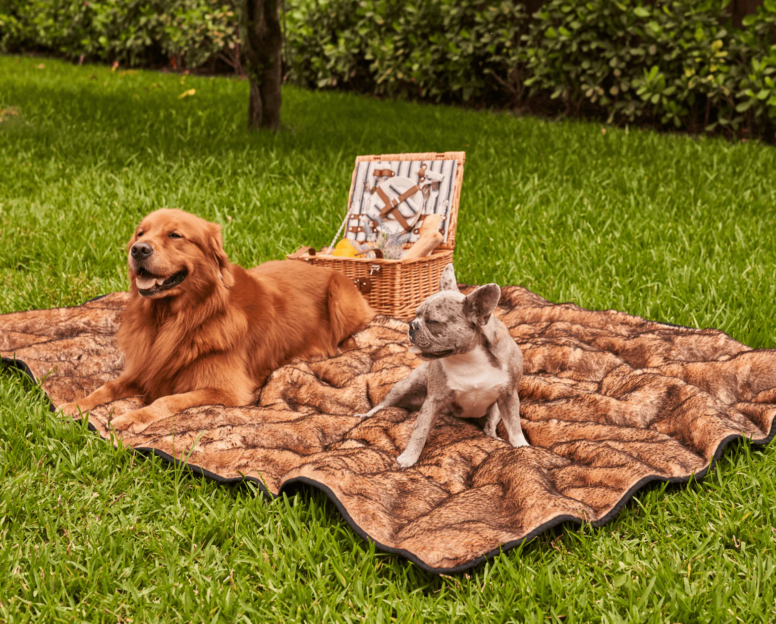 PupProtector™ Short Fur Waterproof Throw Blanket - Sable Tan - Image 12