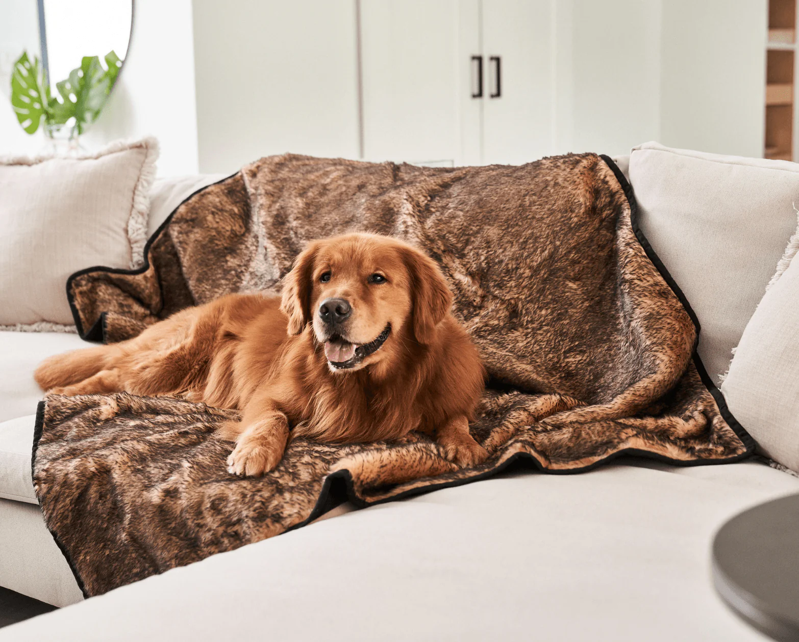 PupProtector™ Short Fur Waterproof Throw Blanket - Sable Tan - Image 2