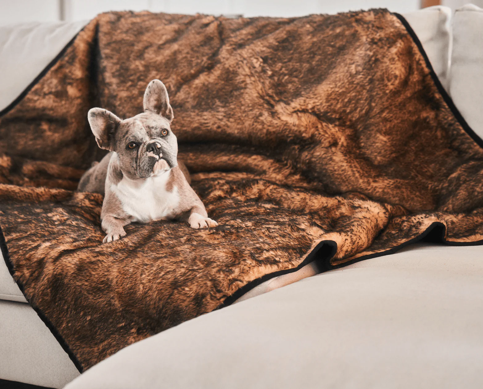 PupProtector™ Short Fur Waterproof Throw Blanket - Sable Tan - Image 3
