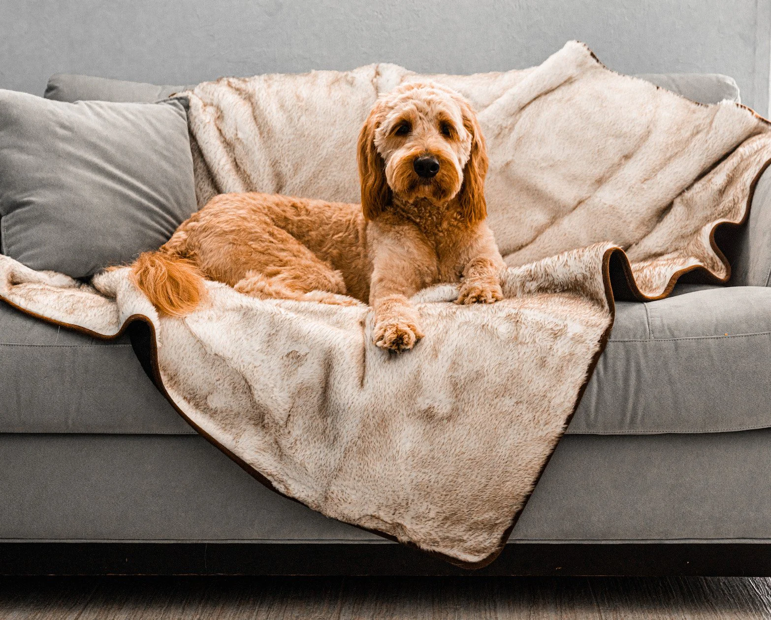 PupProtector™ Short Fur Waterproof Throw Blanket - White with Brown Accents - Image 2
