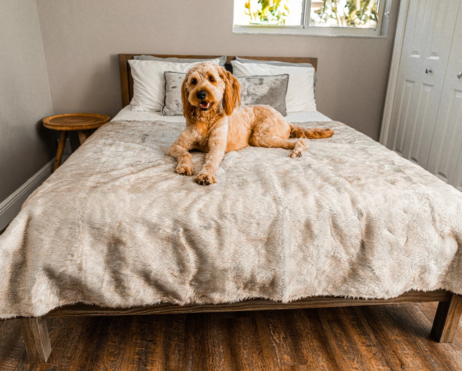 PupProtector™ Short Fur Waterproof Throw Blanket - White with Brown Accents - Image 6