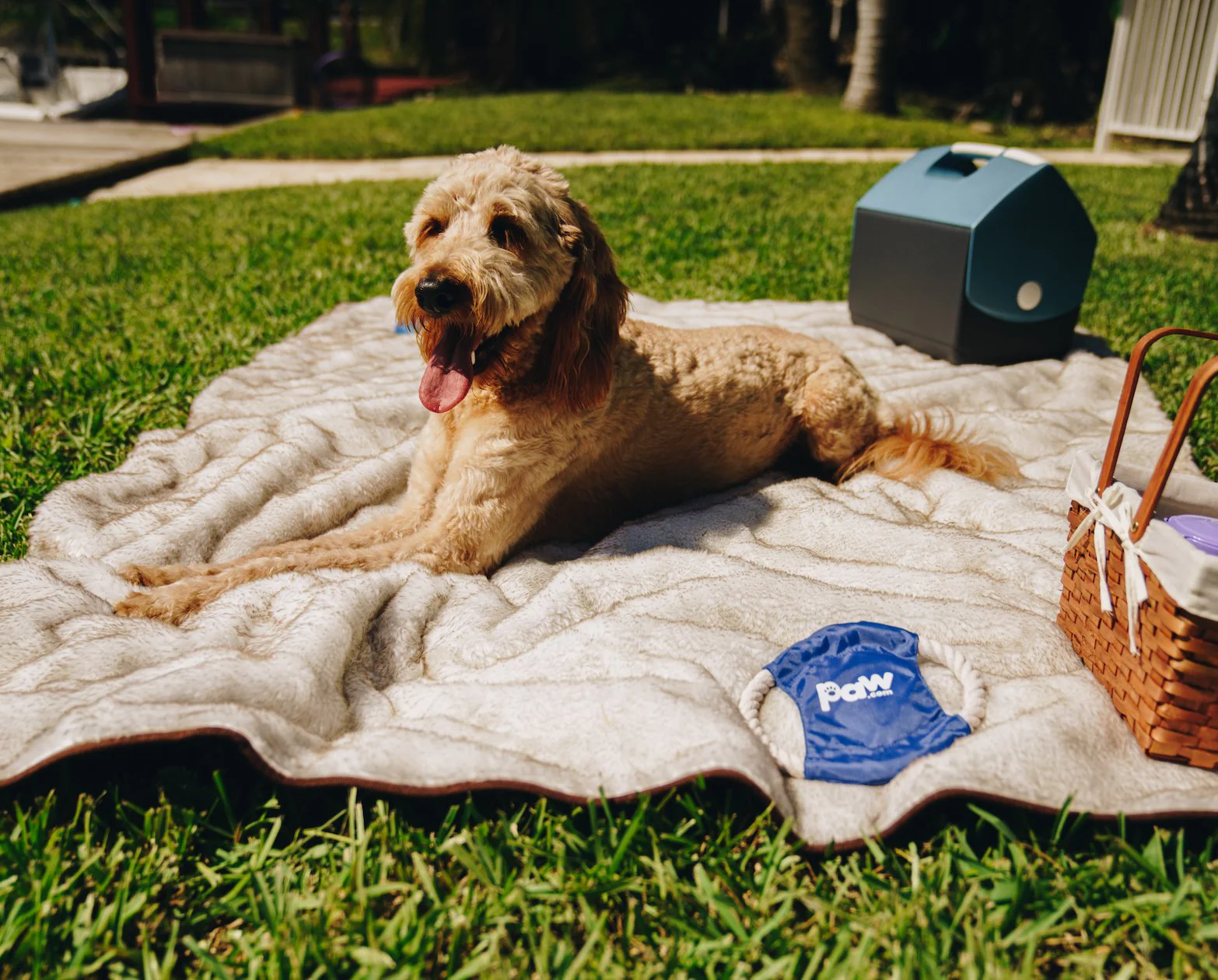 PupProtector™ Short Fur Waterproof Throw Blanket - White with Brown Accents - Image 9