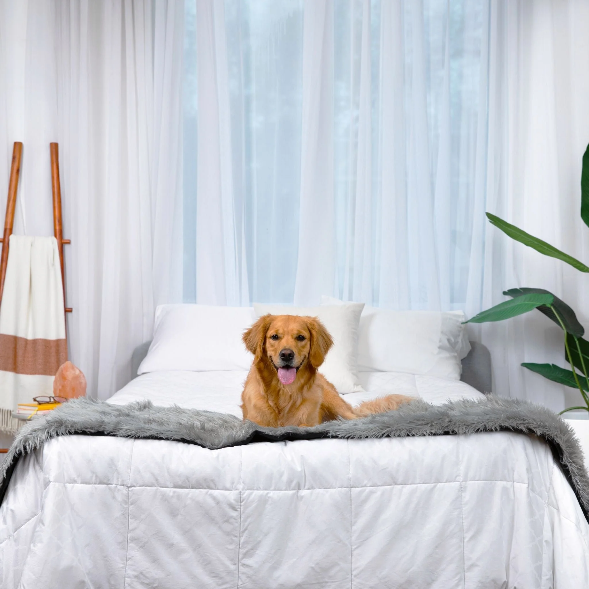 PupProtector™ Waterproof Bed Runner - Charcoal Grey - Image 13