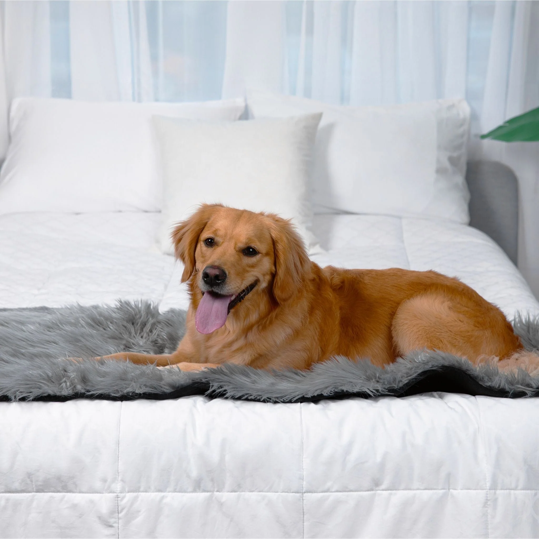 PupProtector™ Waterproof Bed Runner - Charcoal Grey - Image 9