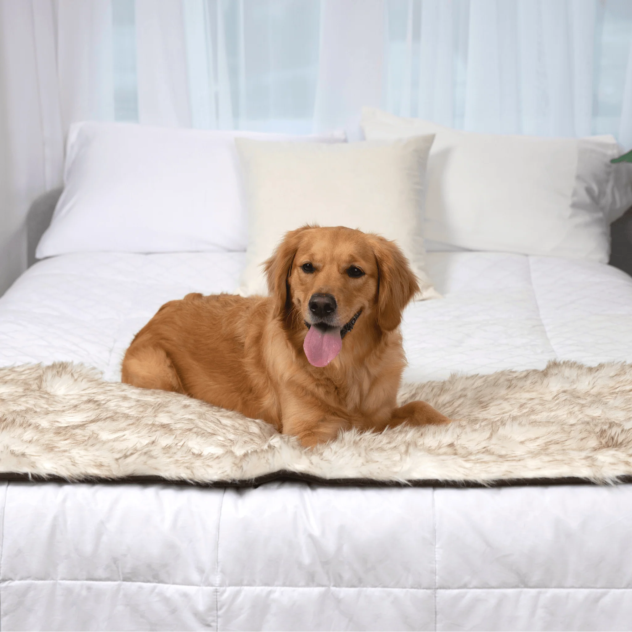 PupProtector™ Waterproof Bed Runner - White with Brown Accents - Image 11