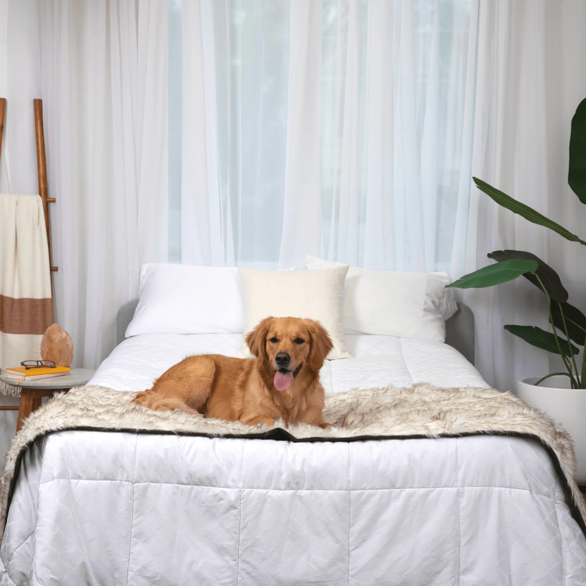 PupProtector™ Waterproof Bed Runner - White with Brown Accents - Image 13