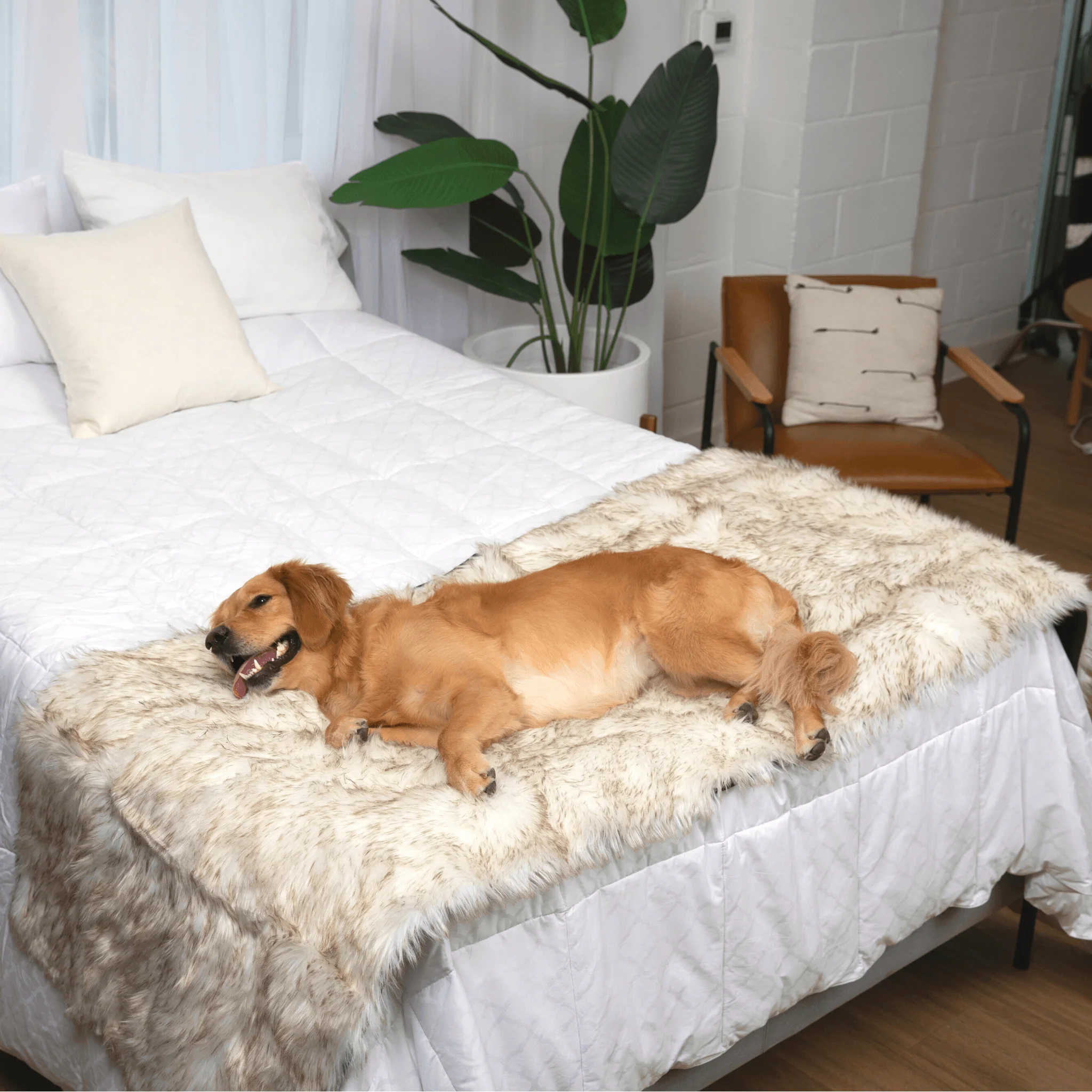 PupProtector™ Waterproof Bed Runner - White with Brown Accents - Image 5