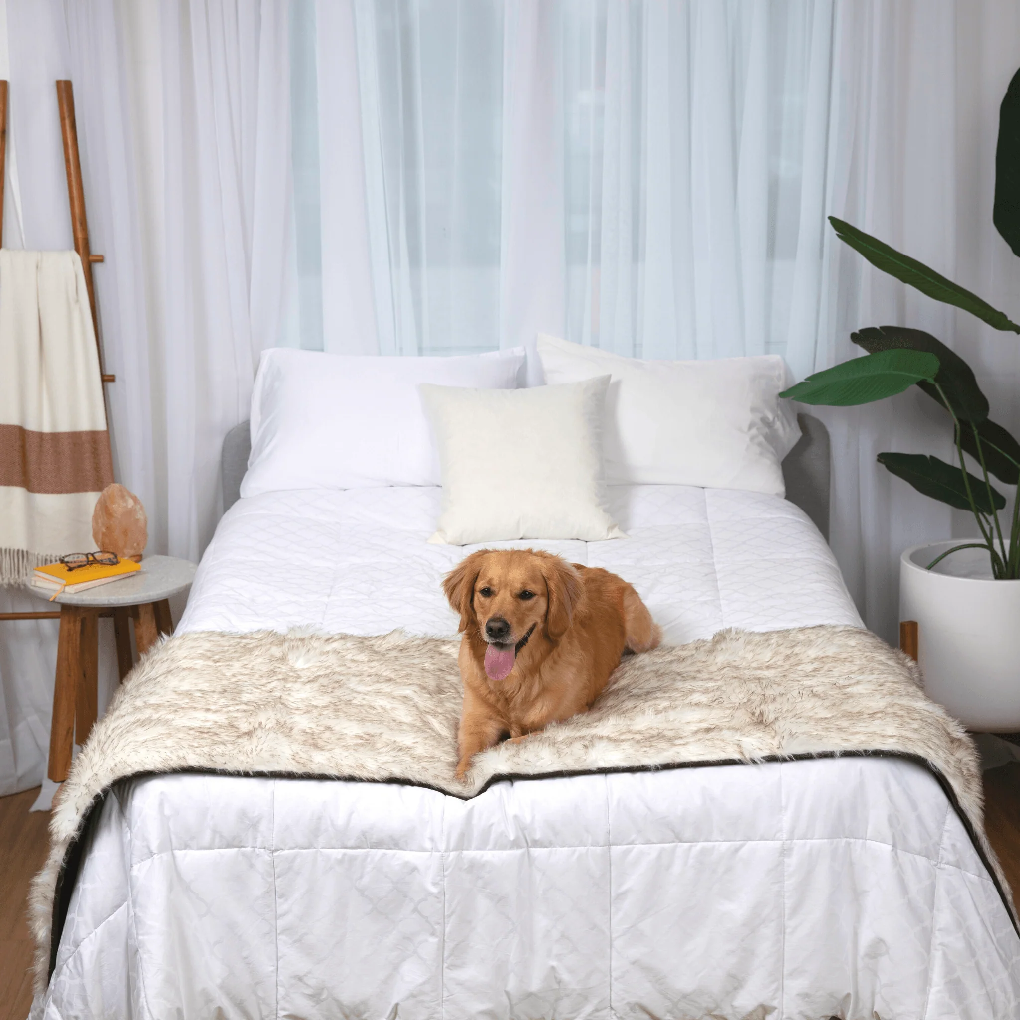 PupProtector™ Waterproof Bed Runner - White with Brown Accents - Image 7