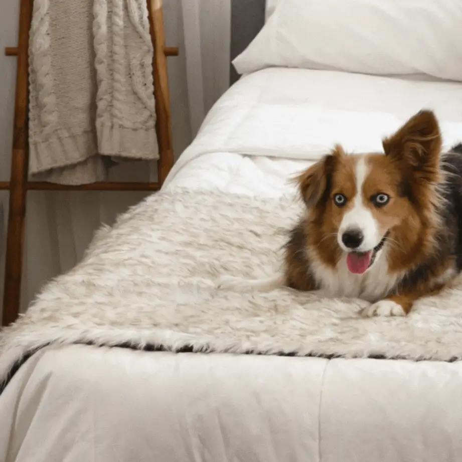 PupProtector™ Waterproof Bed Runner - White with Brown Accents - Image 8