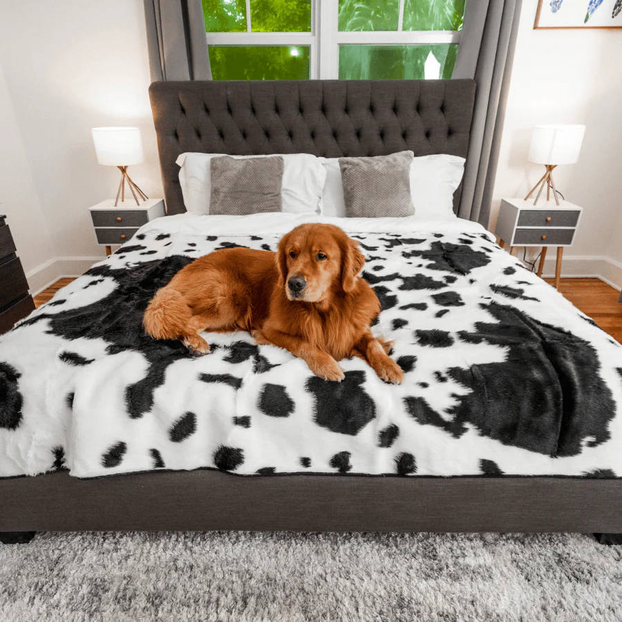 PupProtector™ Waterproof Throw Blanket - Black Faux Cowhide - Image 10