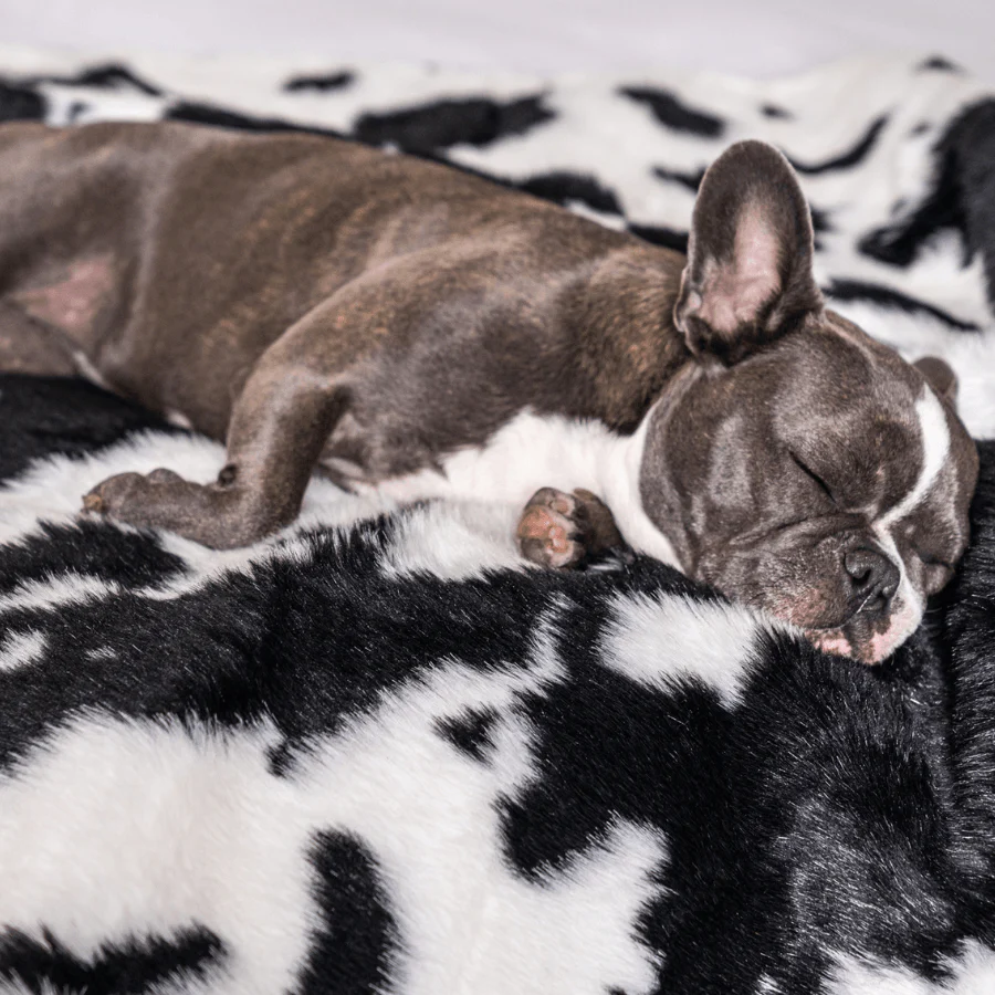 PupProtector™ Waterproof Throw Blanket - Black Faux Cowhide - Image 12