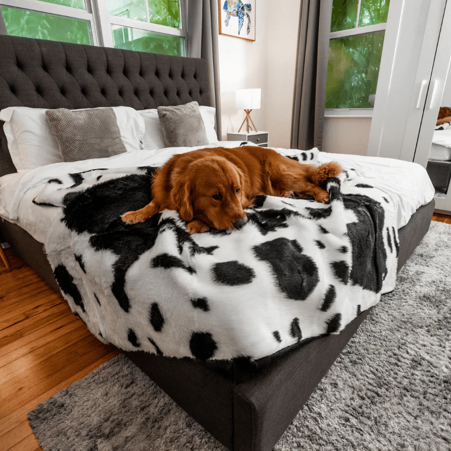 PupProtector™ Waterproof Throw Blanket - Black Faux Cowhide - Image 13