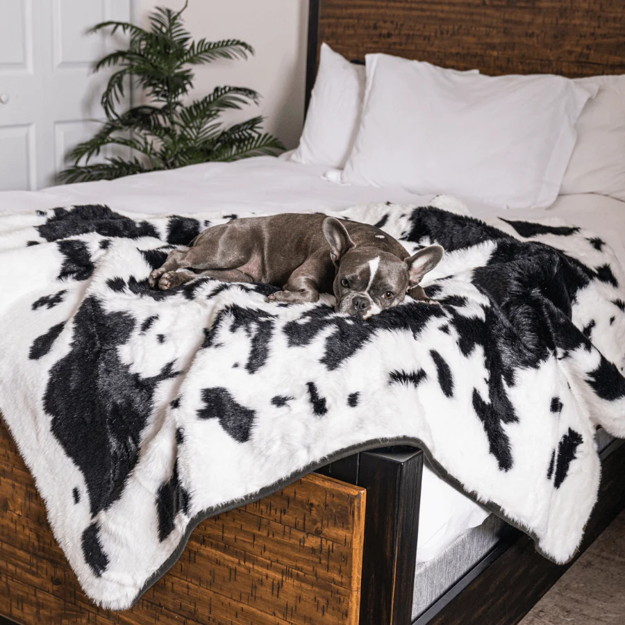PupProtector™ Waterproof Throw Blanket - Black Faux Cowhide - Image 2