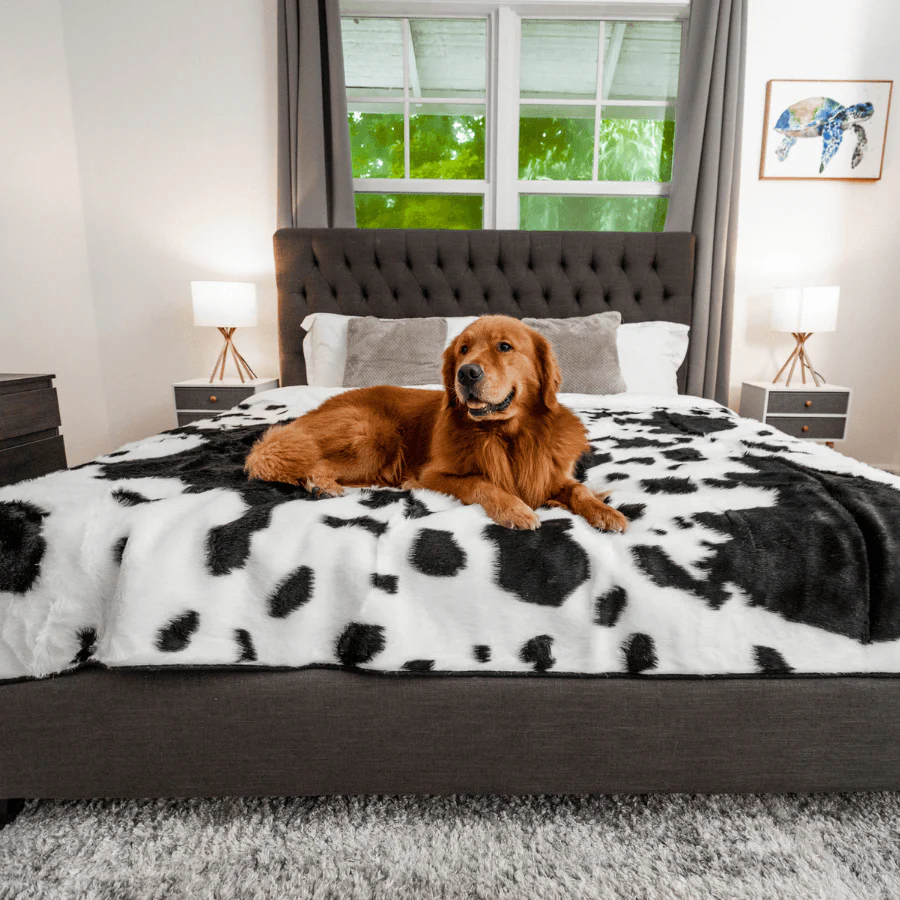 PupProtector™ Waterproof Throw Blanket - Black Faux Cowhide - Image 6