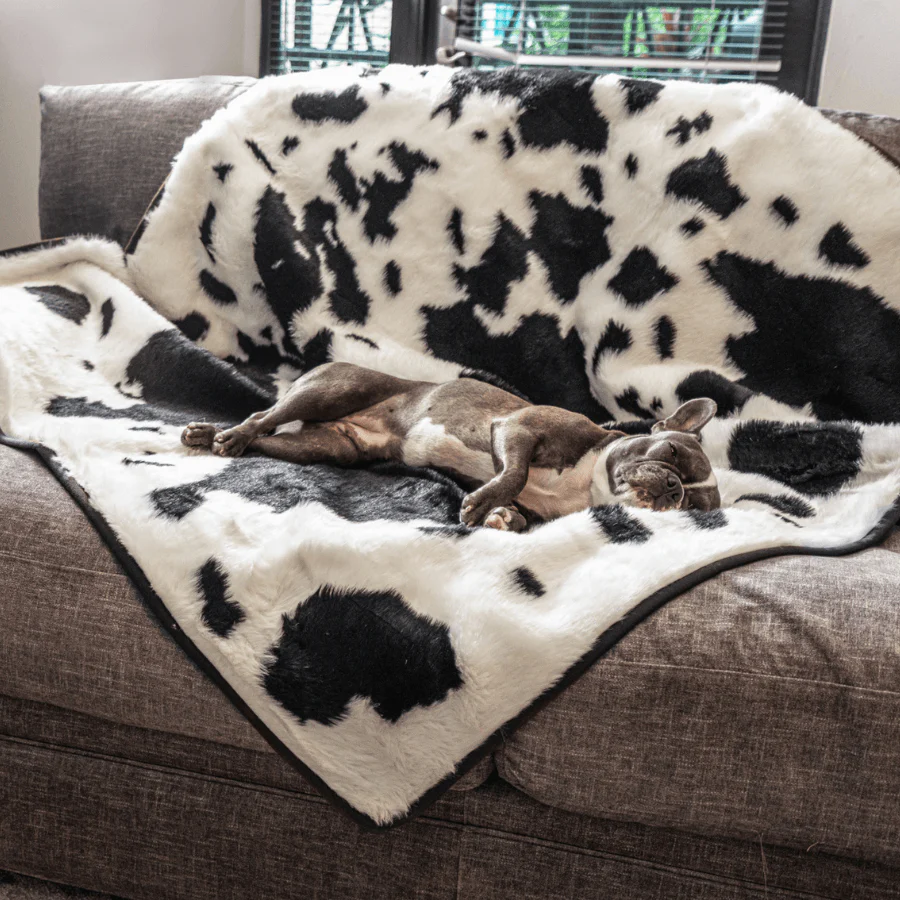 PupProtector™ Waterproof Throw Blanket - Black Faux Cowhide - Image 8
