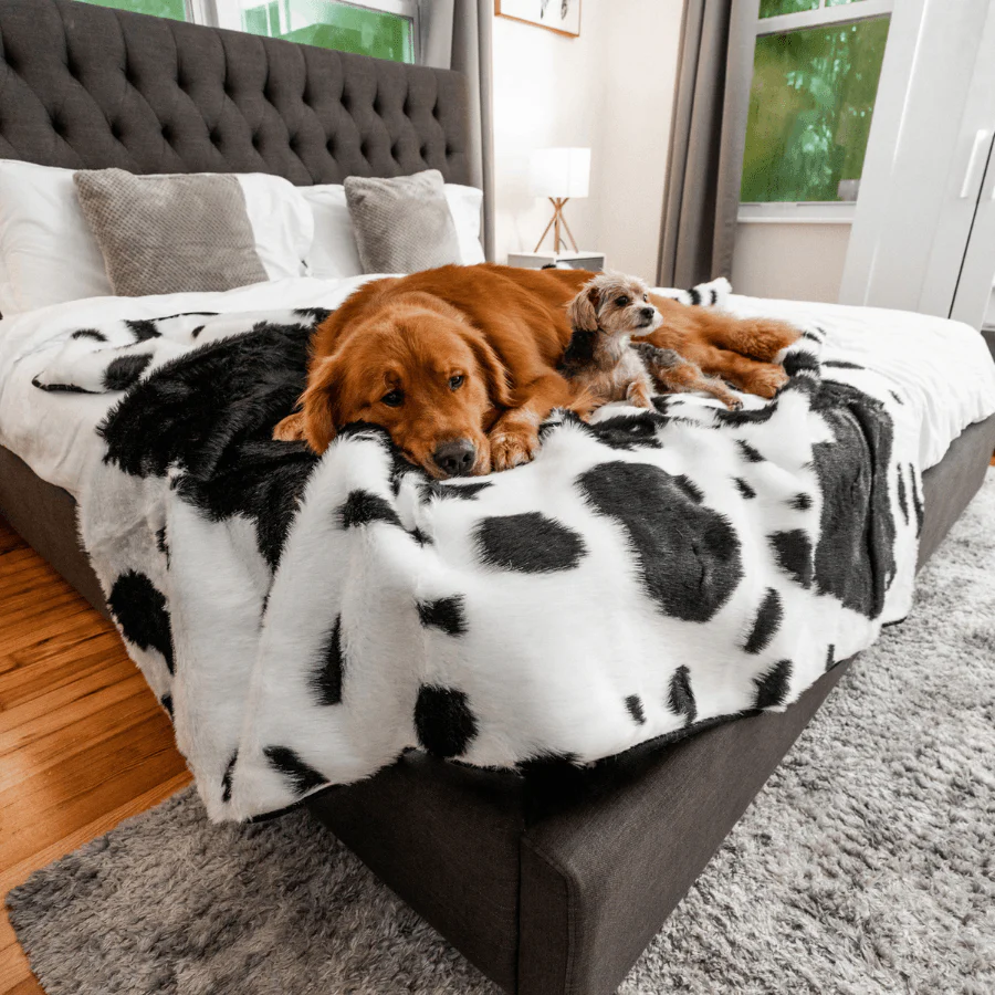PupProtector™ Waterproof Throw Blanket - Black Faux Cowhide - Image 9