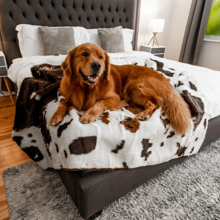PupProtector™ Waterproof Throw Blanket - Brown Faux Cowhide - Image 11