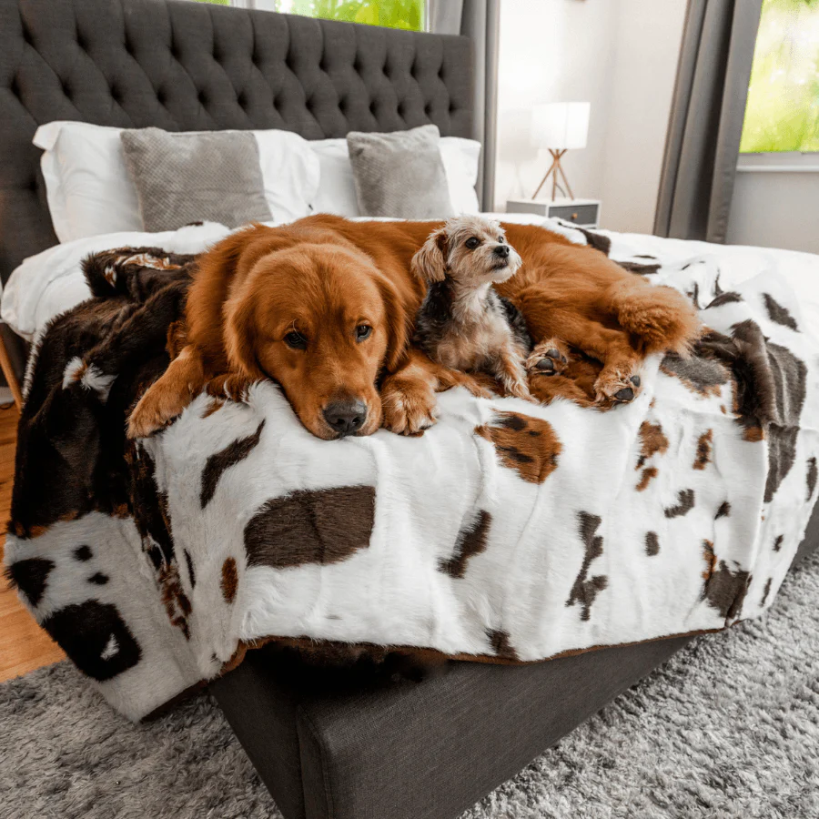 PupProtector™ Waterproof Throw Blanket - Brown Faux Cowhide - Image 2