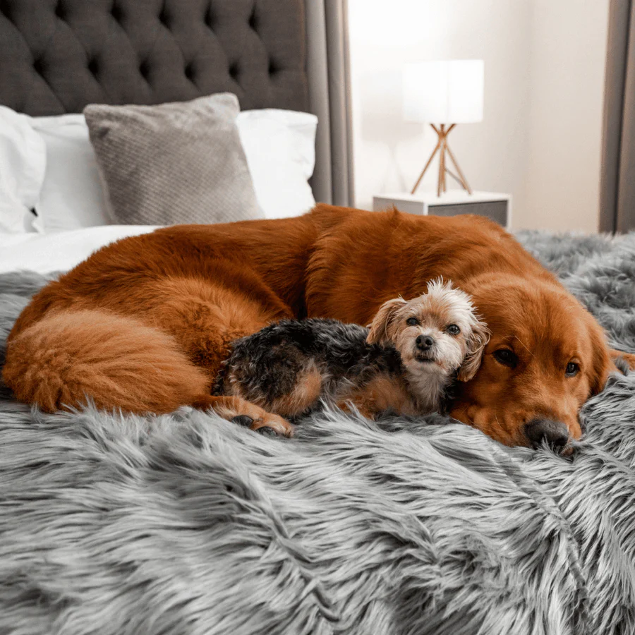 PupProtector™ Waterproof Throw Blanket - Charcoal Grey - Image 7